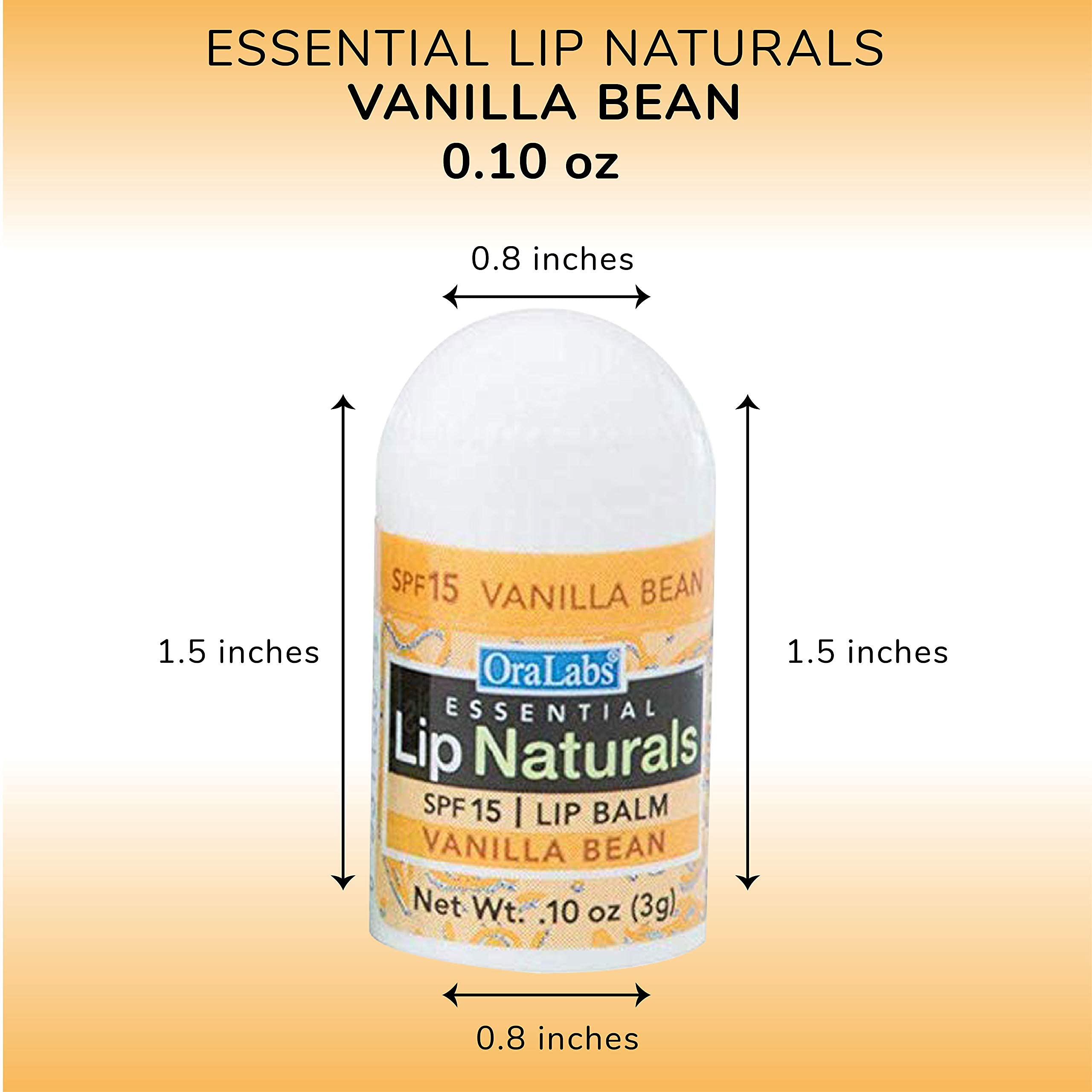 Lip Naturals Mini Vanilla Lip Balm with Sunscreen (SPF-15) | Made in USA with Beeswax & Coconut Oil | 12-Count Pack with Vanilla