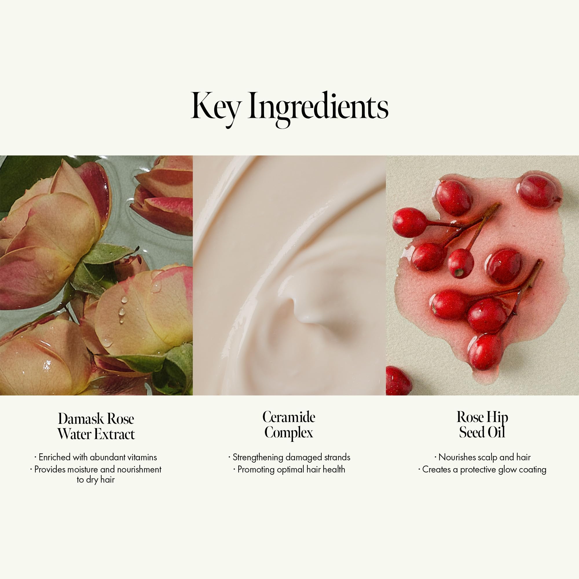 Rosy Night Repair Shampoo, Vegan Daily Shampoo With Damask Rose Water, Ceramide Complex For Damaged & Dyed Hair, Musky Floral Sc