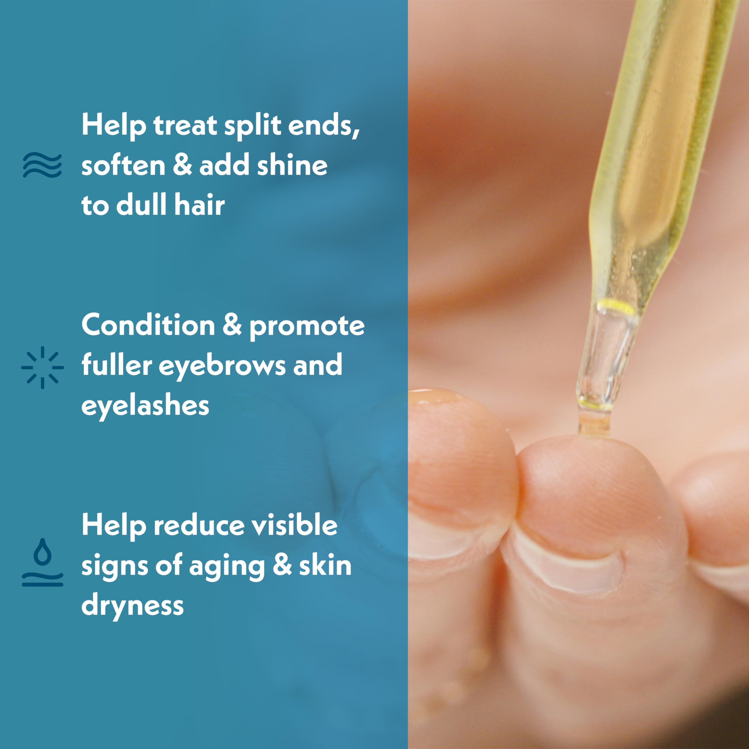 Eve Hansen Organic Castor Oil USDA Certified | Pure Carrier Oil for Eyelashes, Eyebrows, Hair, and Skin with Applicator (2oz)