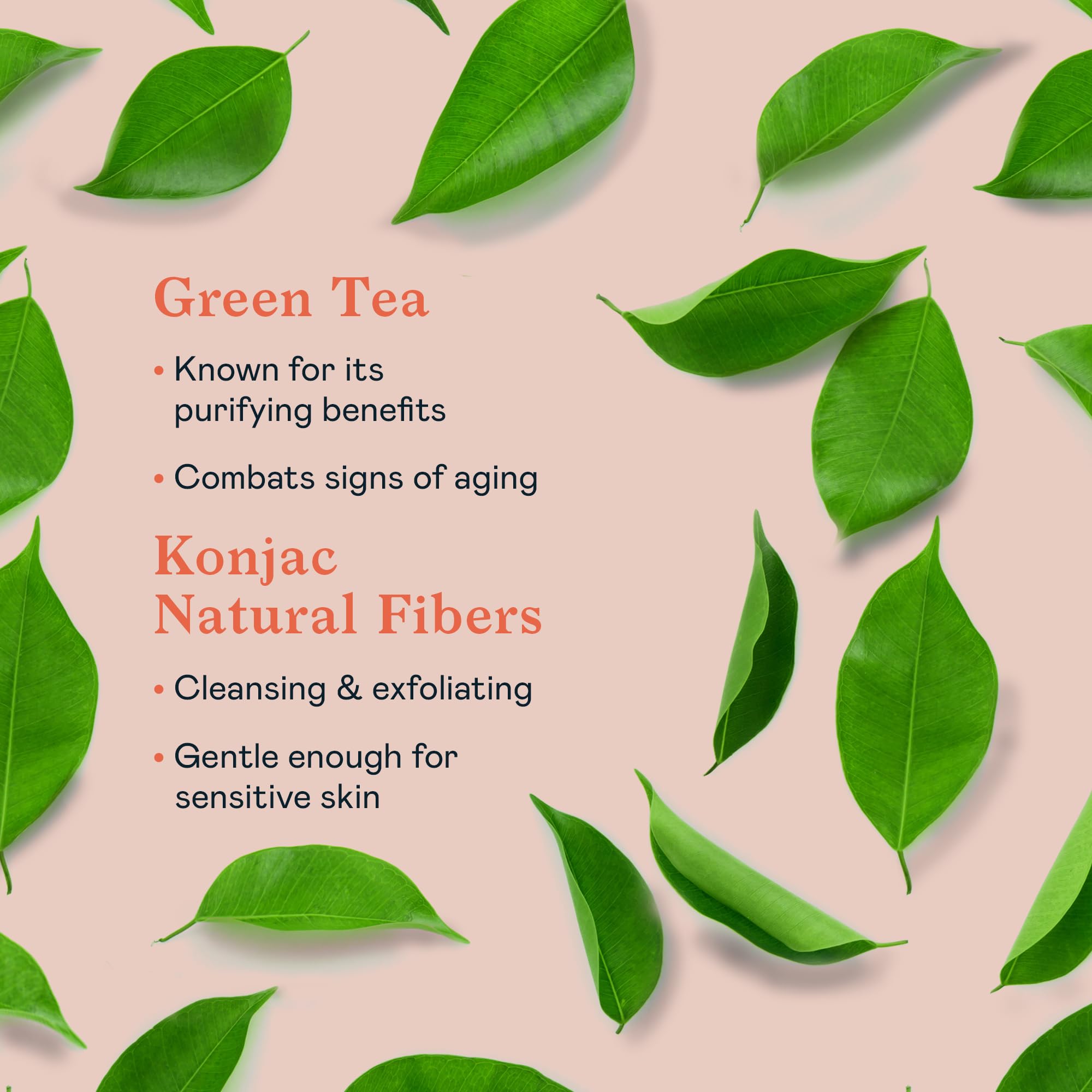 Erborian Green Tea Konjac Facial Sponge - Natural Great For Sensitive, Oily And Acne Prone Skin - Korean Beauty Bath Scrub For D