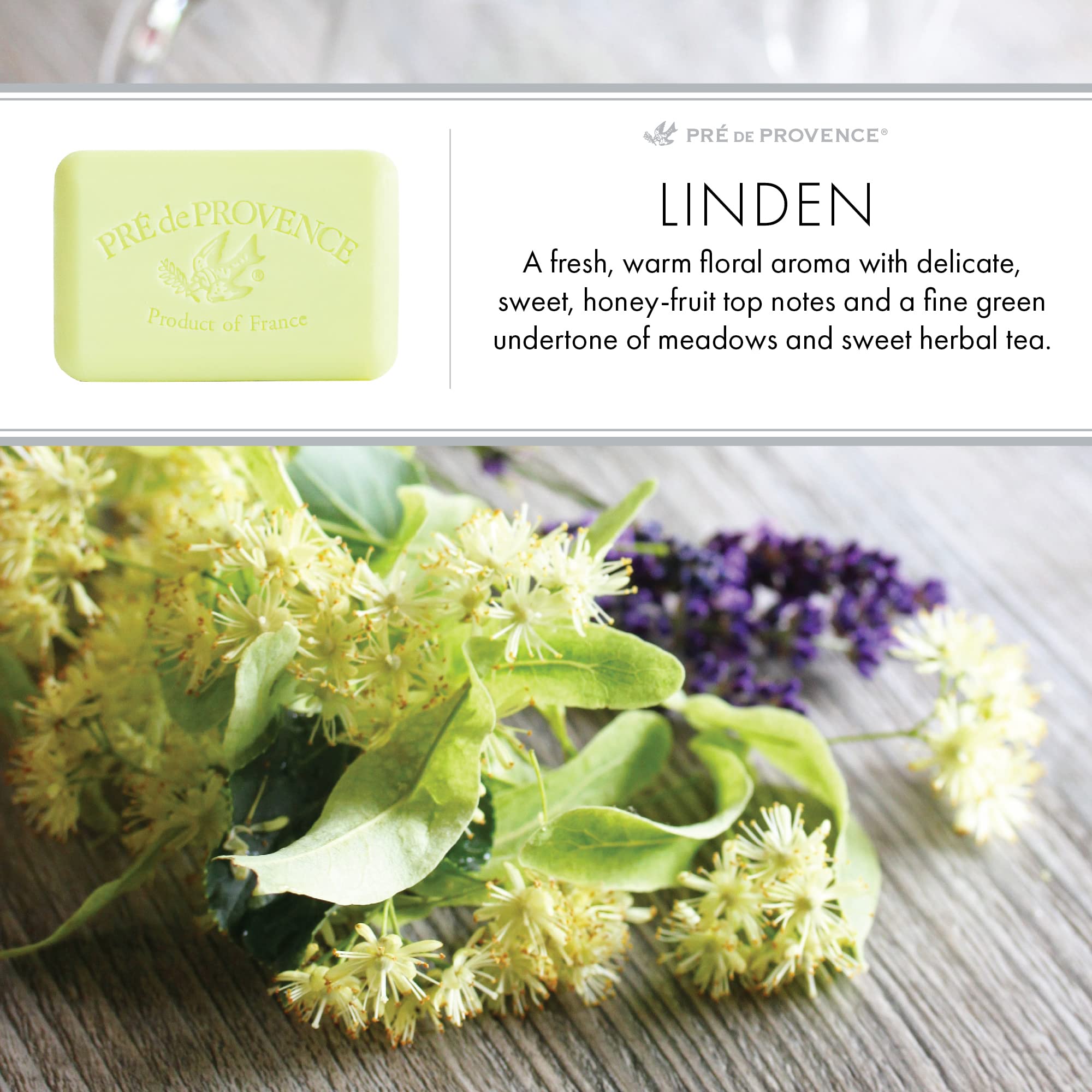 Pre de Provence Artisanal Soap Bar, Natural French Skincare, Enriched with Organic Shea Butter, Quad Milled for Rich, Smooth & M