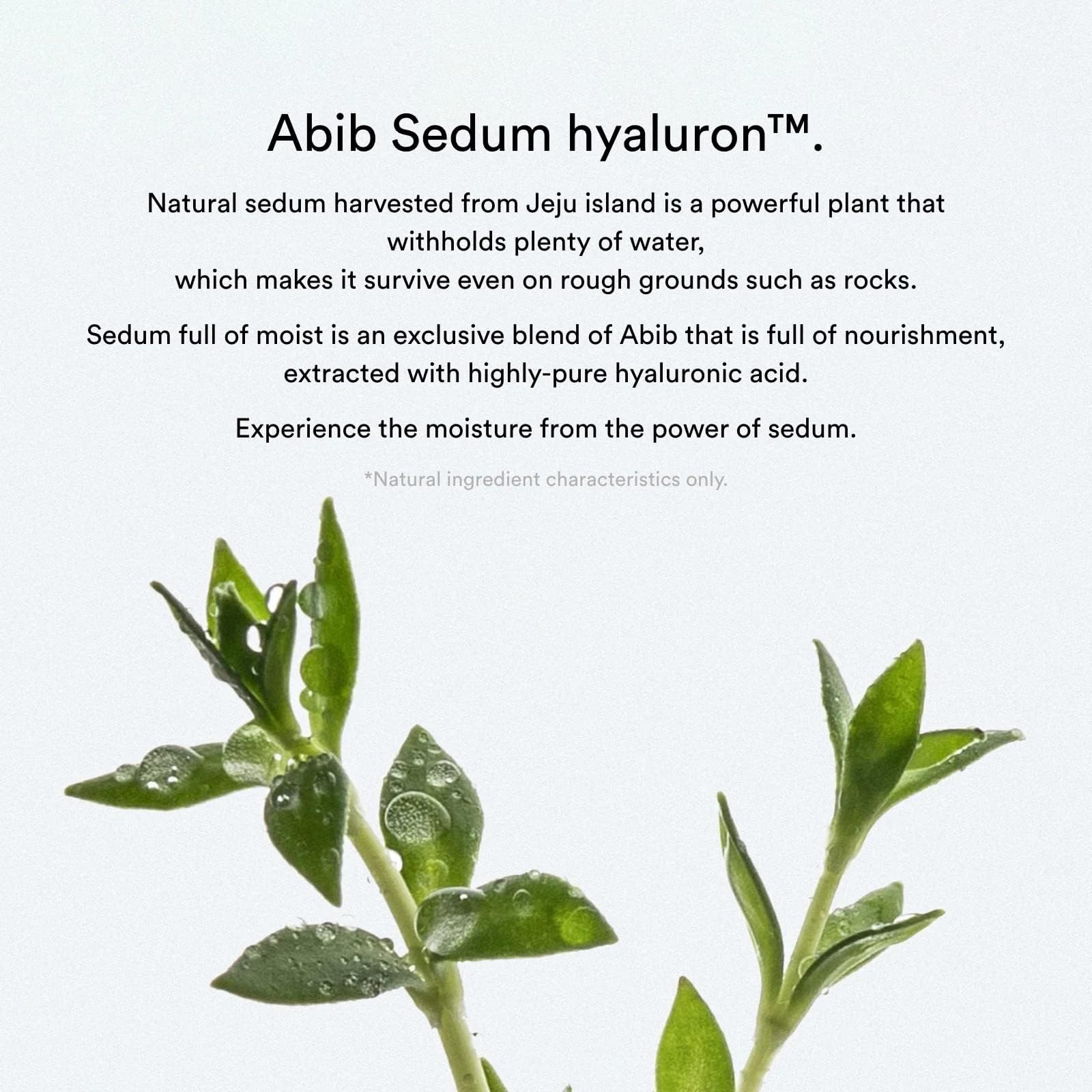 Abib Collagen Gel Mask Sedum Jelly 10 Sheets I Vegan Collagen, Hydrating Hyaluronic Acid Hydrogel Facial Mask