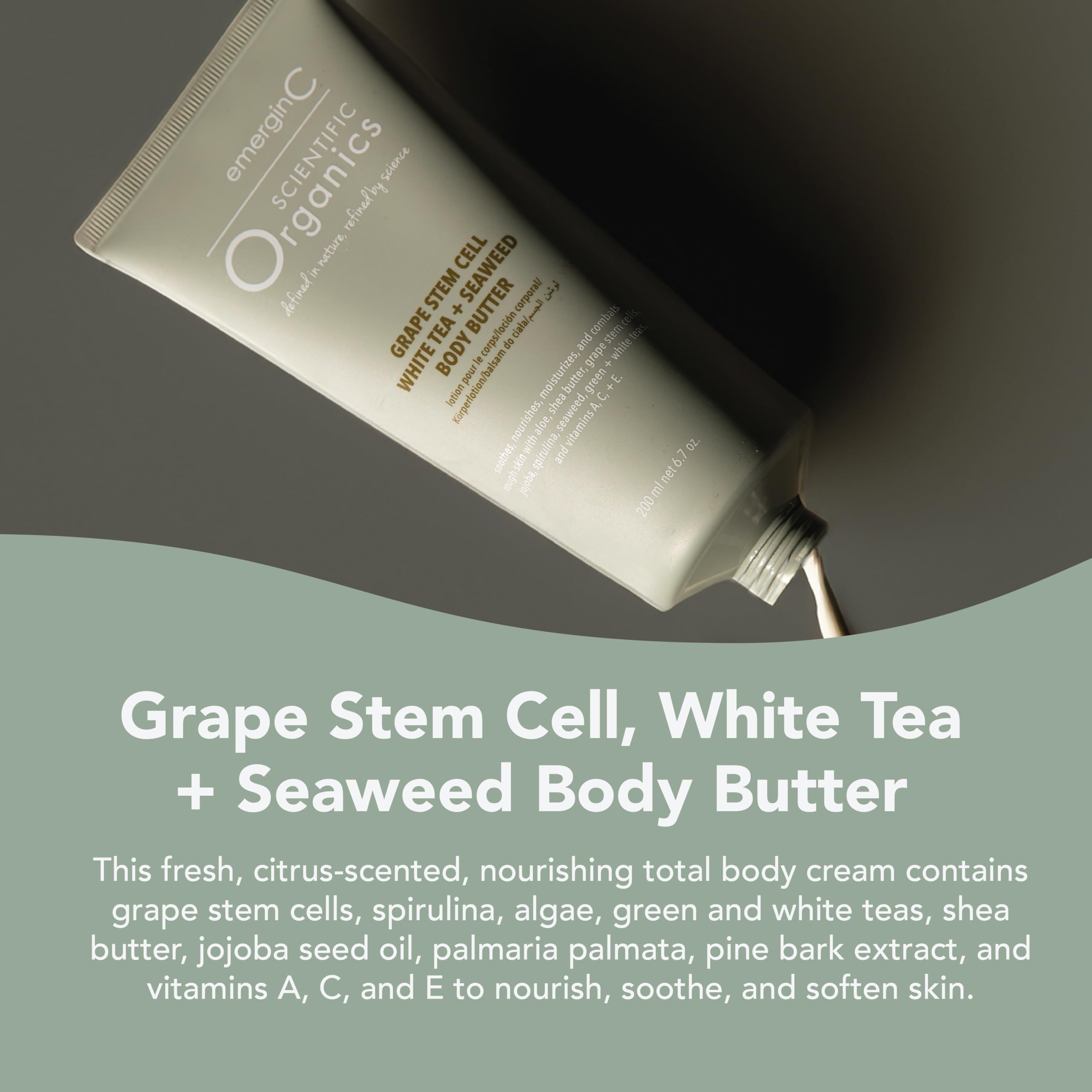 emergin C Scientific Organics Grape Stem Cell, White Tea + Seaweed Body Butter - Nourishing Plant Stem Cell Cream with Vitamins