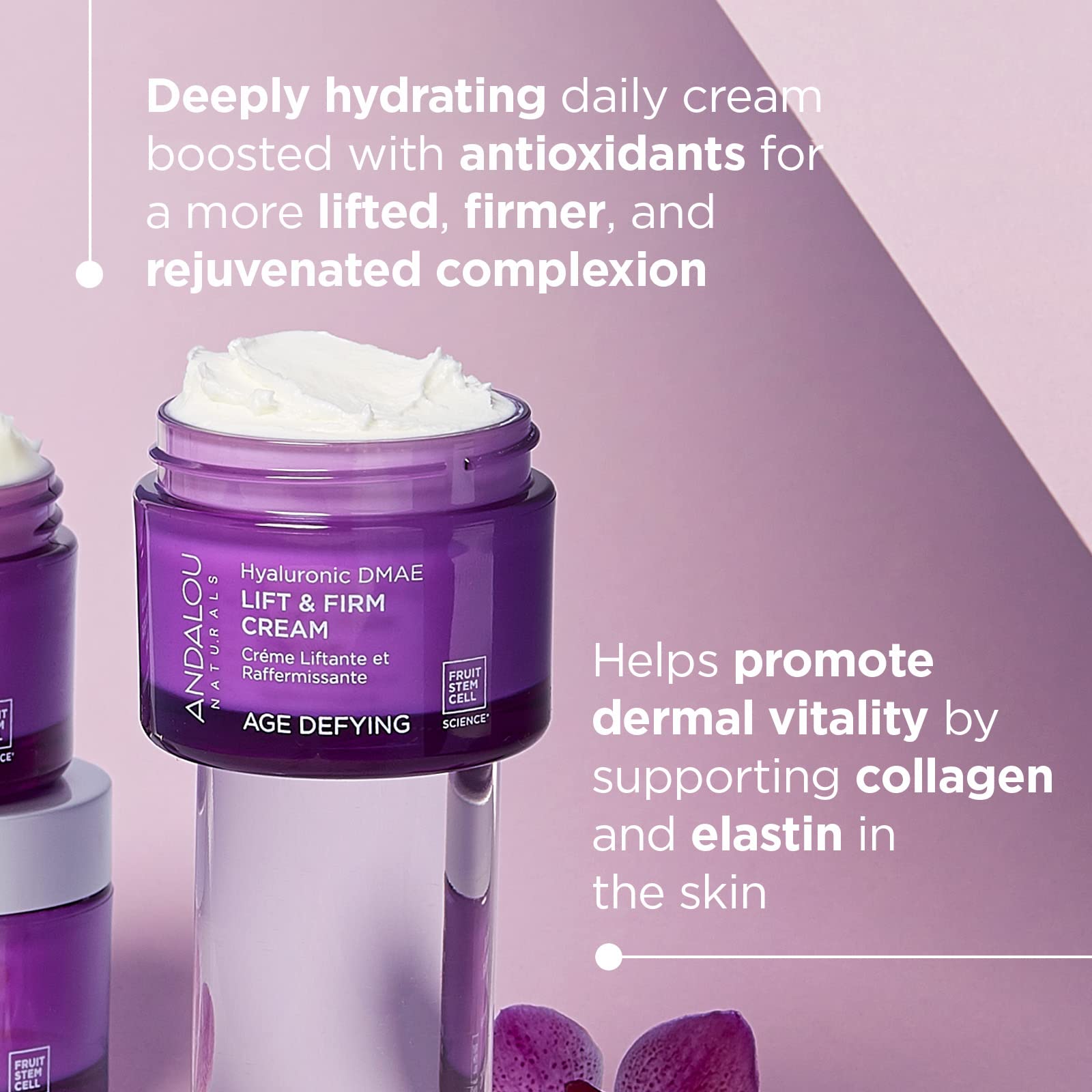 Andalou Naturals Hyaluronic Dmae Lift Firm Skin Cream, Face Moisturizer With Anti Aging Antioxidants, Hydrating, Helps Reduce Fi