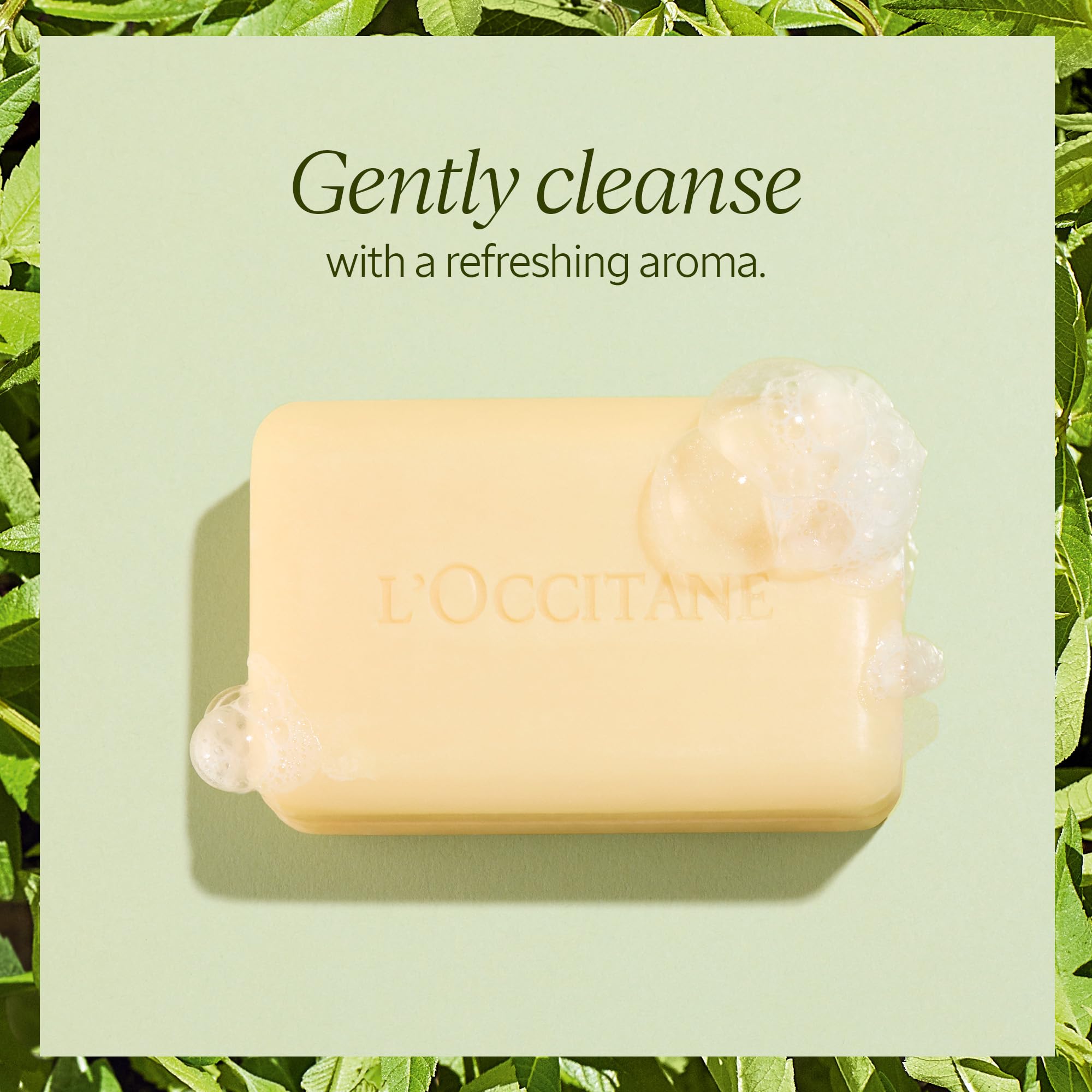 Loccitane Verbena Extra-Gentle Soap: Vegetable Based, Artisanal, Citrus Scent, Crafted With Organic Verbena Extract, Refreshing