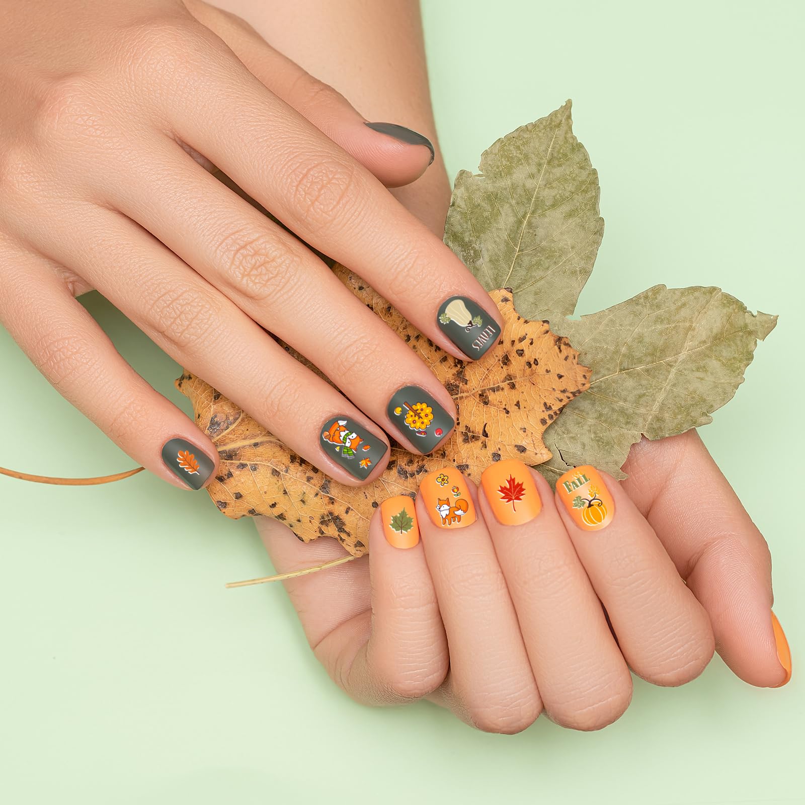 Whaline 10 Sheet Fall Nail Art Stamping Plates Kit Happy Thanksgiving Pumpkins Maple Leaf Gnome Plaid Autumn Blessings Collectio