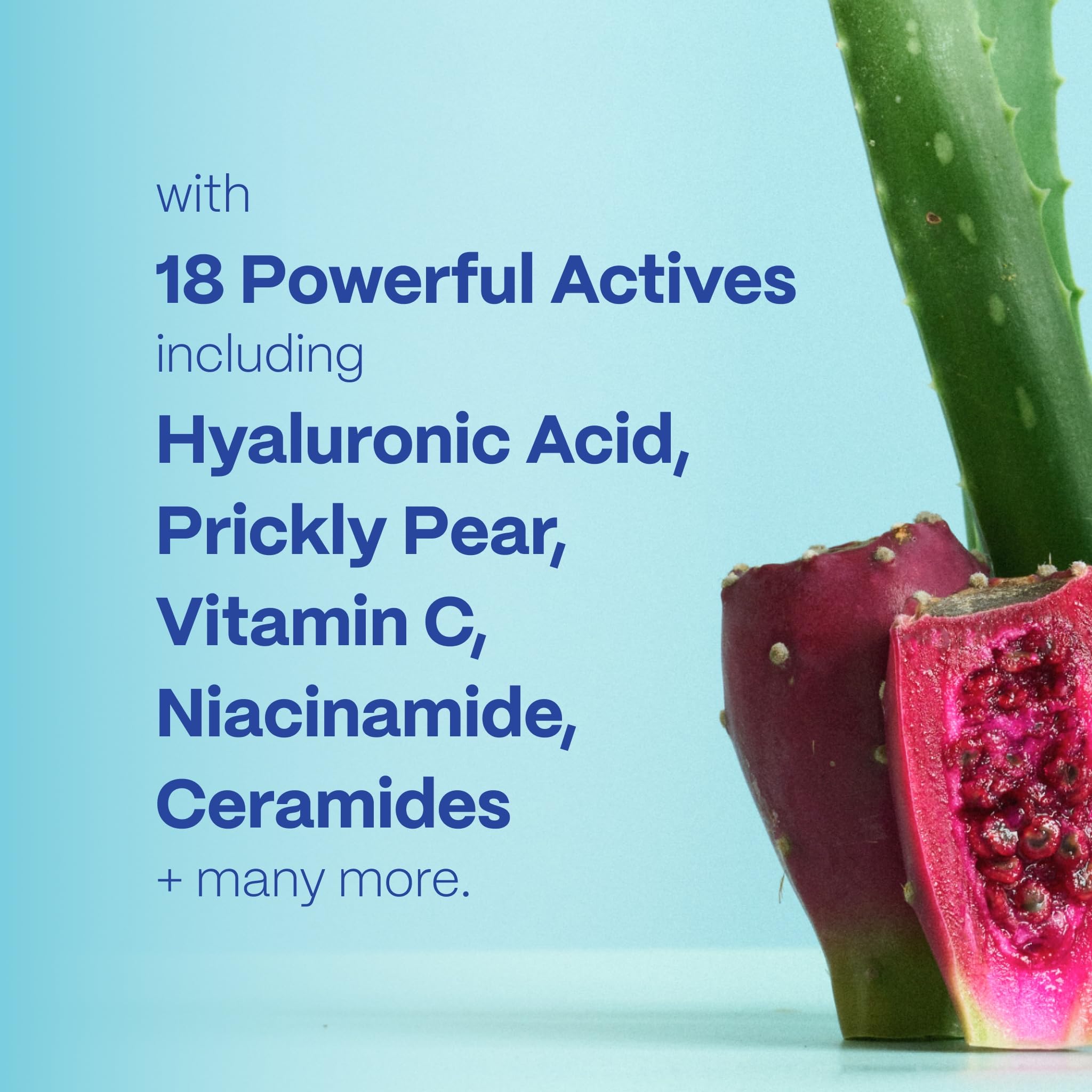 Mad Hippie Ultra-Rich Barrier Cream, Travel-Friendly - Multi-Purpose Moisturizer with Hyaluronic Acid, Niacinamide & Vitamin C,