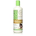 Millcreek Botanical Dandruff Shampoo, 16 Ounce