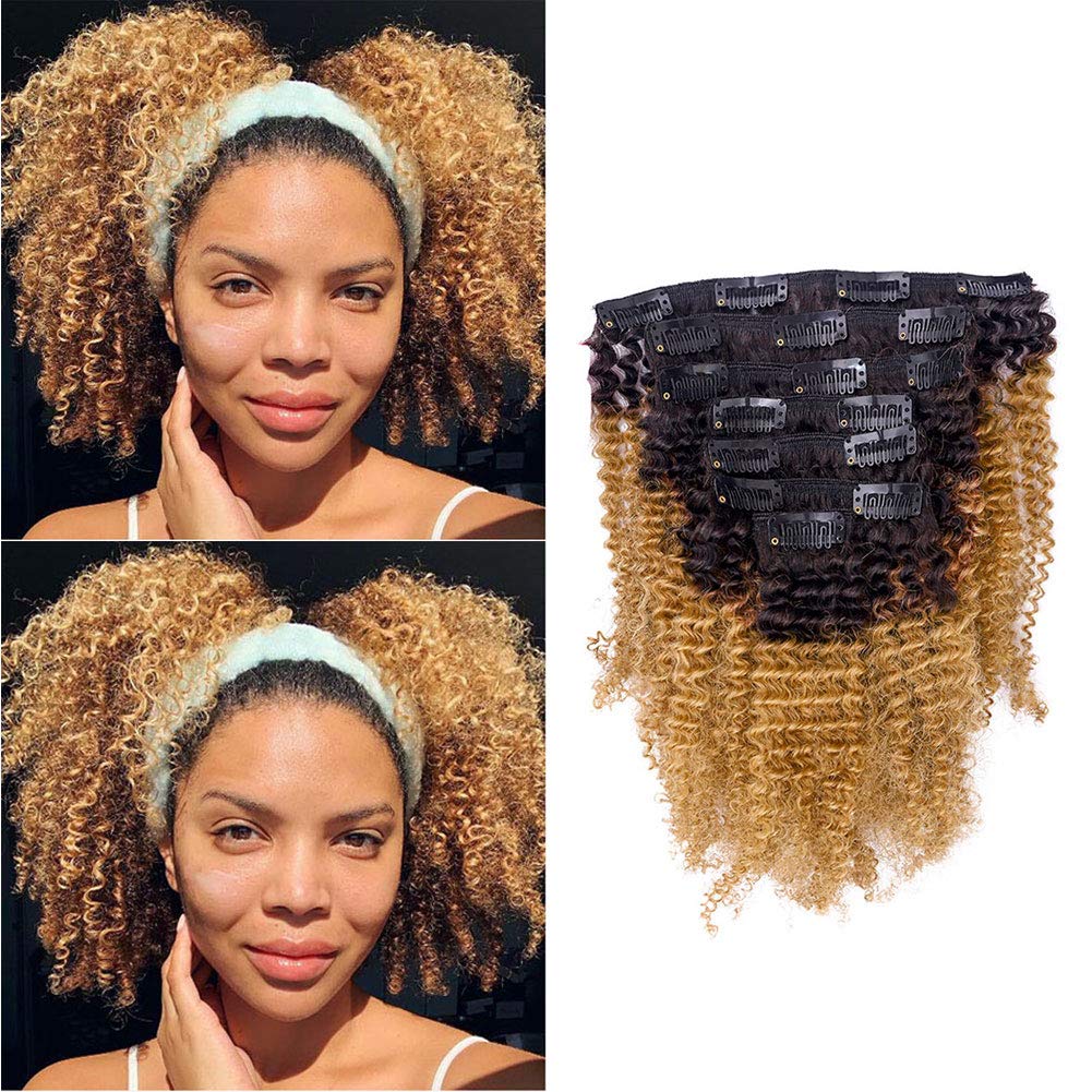 Caliee Kinky Curly Clip in Hair Extensions for Black Women Real Remy Human Hair Clip in Extensions 3C 4A Natural Clip ins,Ombre 