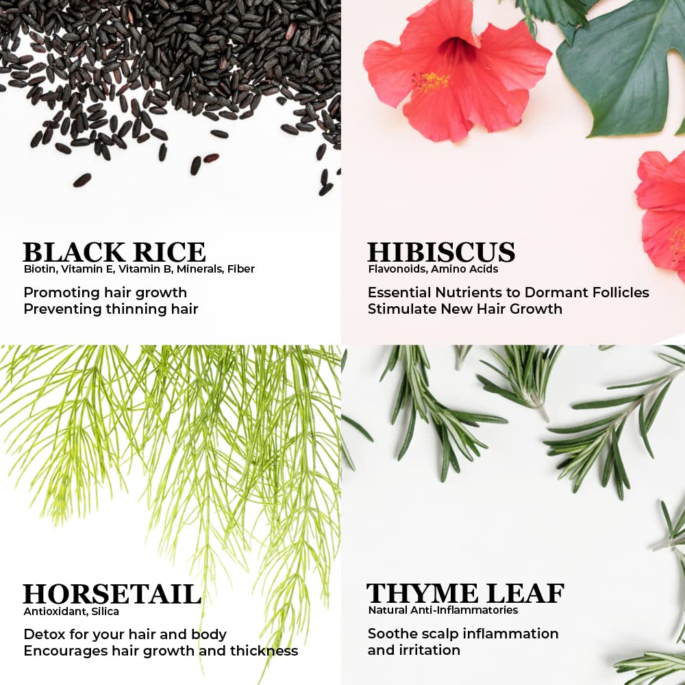 PERFECX - Black Rice Hair Oil 2 fl oz - for Scalp Treatment - 48 hours Herbal Infused Ayurvedic Natural Ingredients - Hair Stren