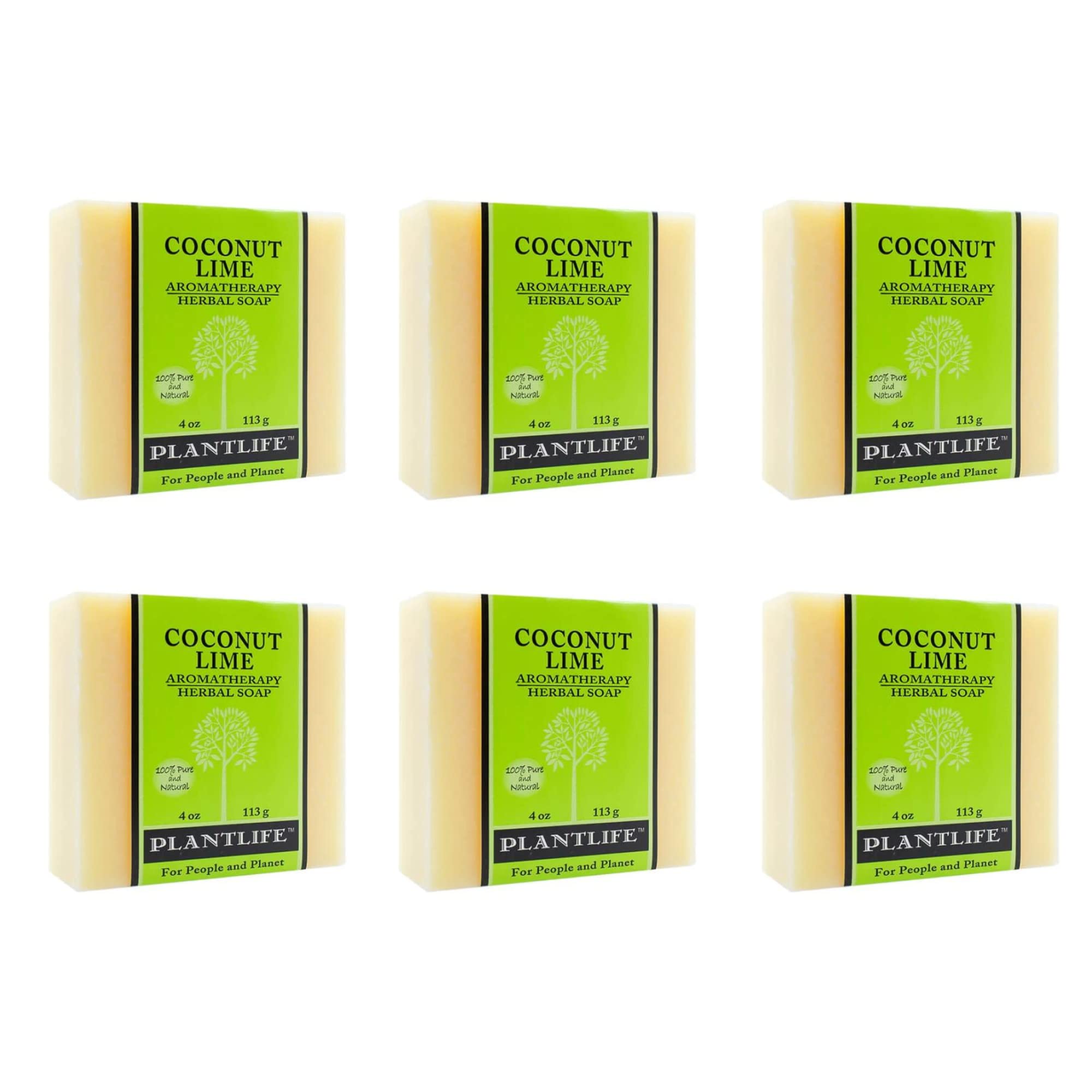 Plantlife Coconut Lime 6-Pack Bar Soap - Moisturizing and Soothing Soap for Your Skin - Hand Crafted Using Plant-Based Ingredien