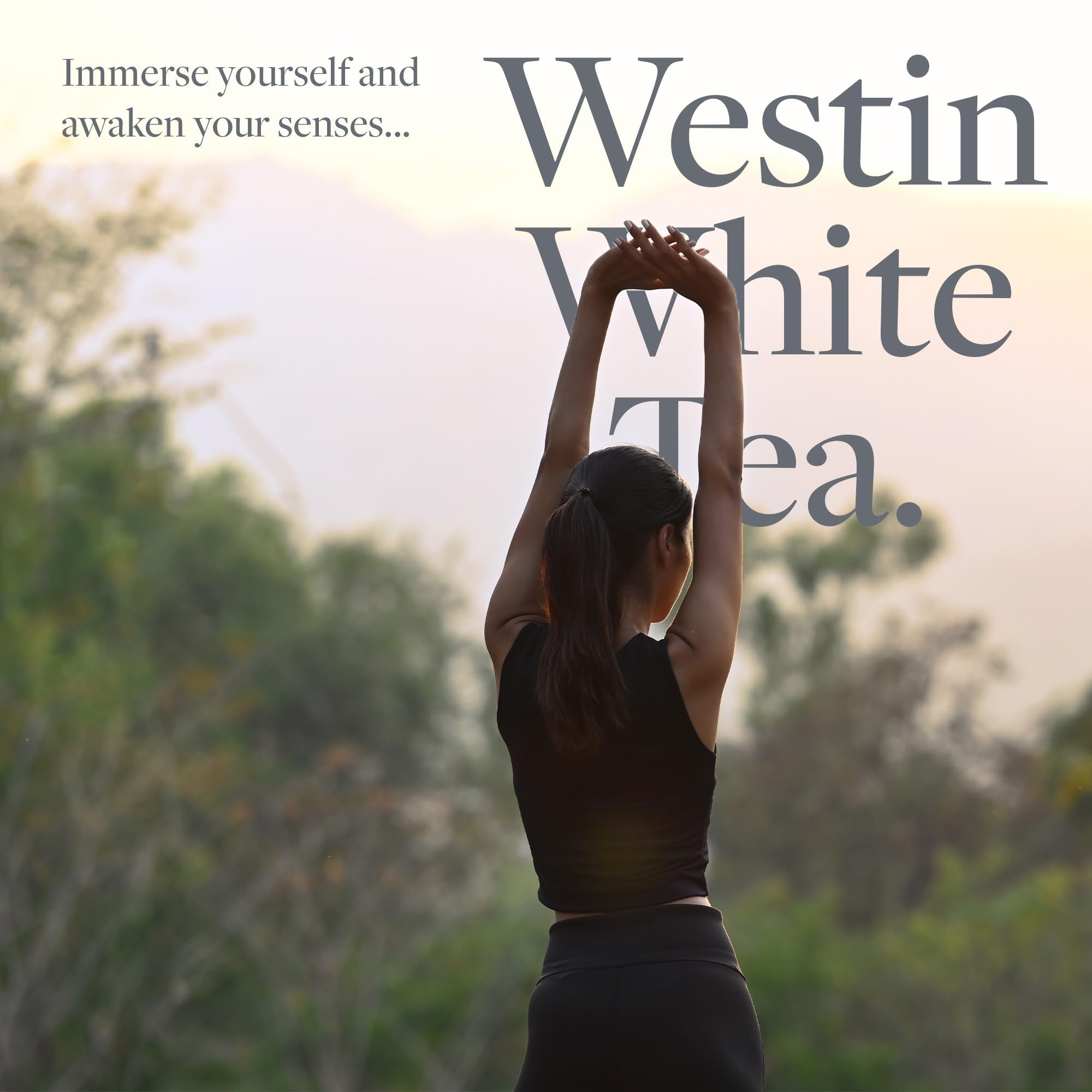 Westin White Tea Liquid Hand Soap - Aromatherapy with Aloe - 8oz - Luxury Hotel Spa Collection