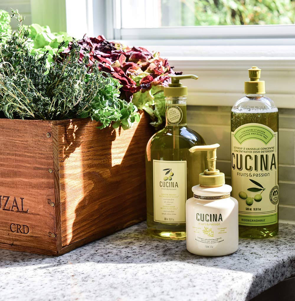 Fruits & Passion [Cucina] - Lime Zest & Cypress Tree Hand Care Duo Caddy Gift Set | Liquid Hand Soap Wash (5.1 oz) with Hand Cre