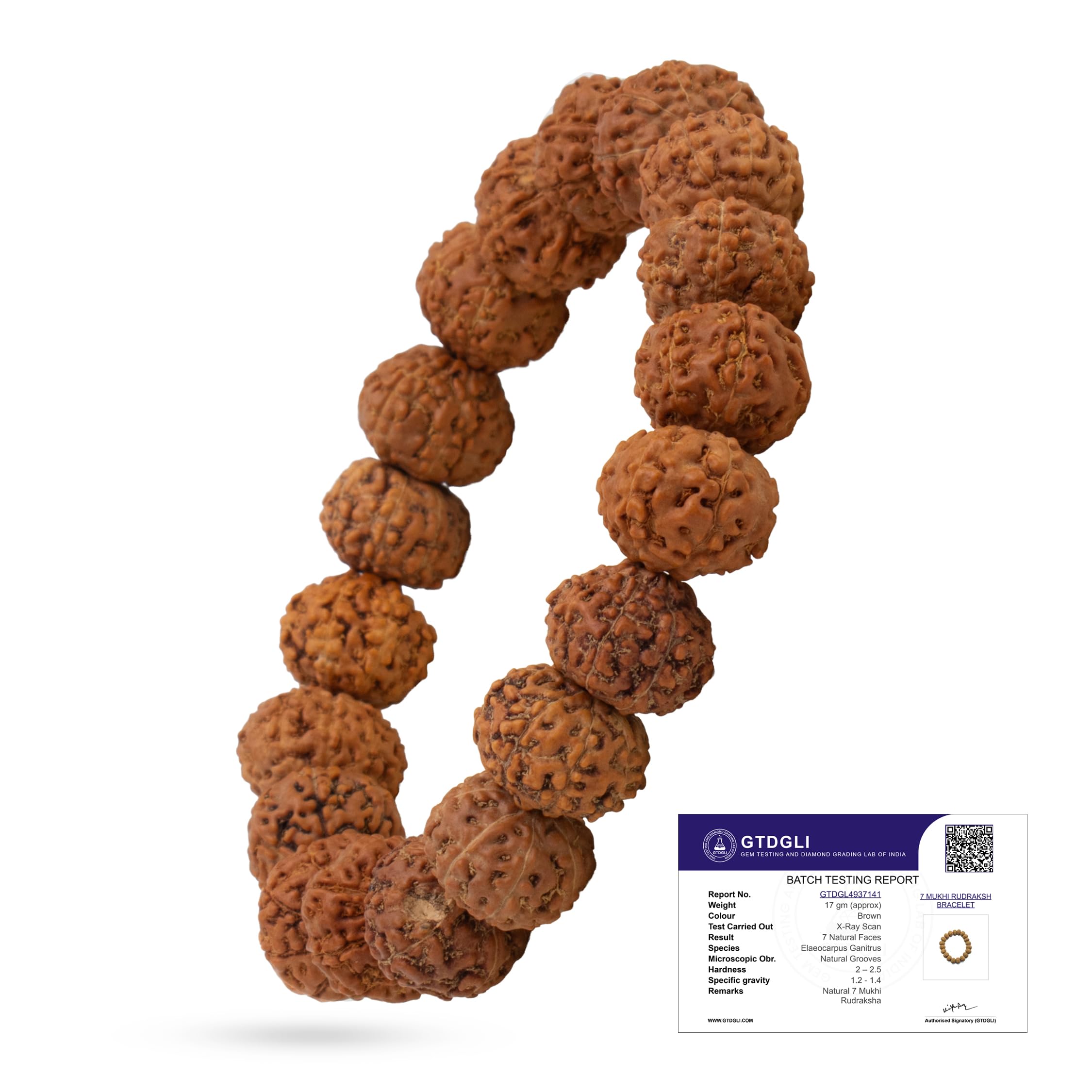 Astrotalk 7 Mukhi Rudraksha Bracelet | Powerful Shield of Positivity & Growth | Natural original Rudraksha Beads | Astrology Unisex Bracelet for Men & Women