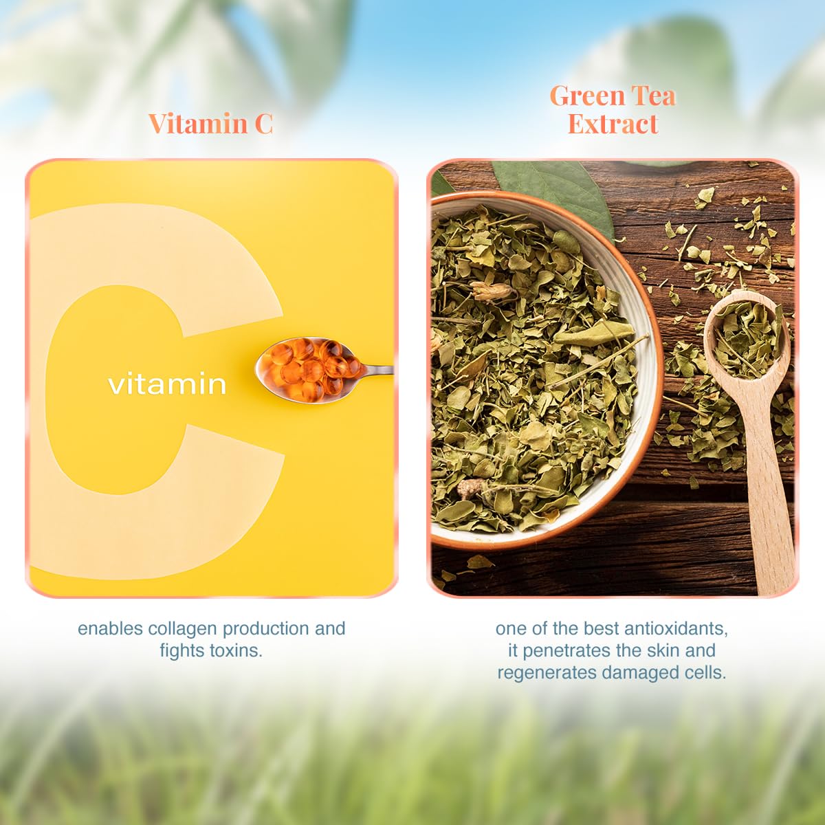VLCC Vitamin C Day Face Cream with SPF 30 | Fights Photoaging & Provides Sun Damage Protection | Hydrates the Skin & Gives Natur