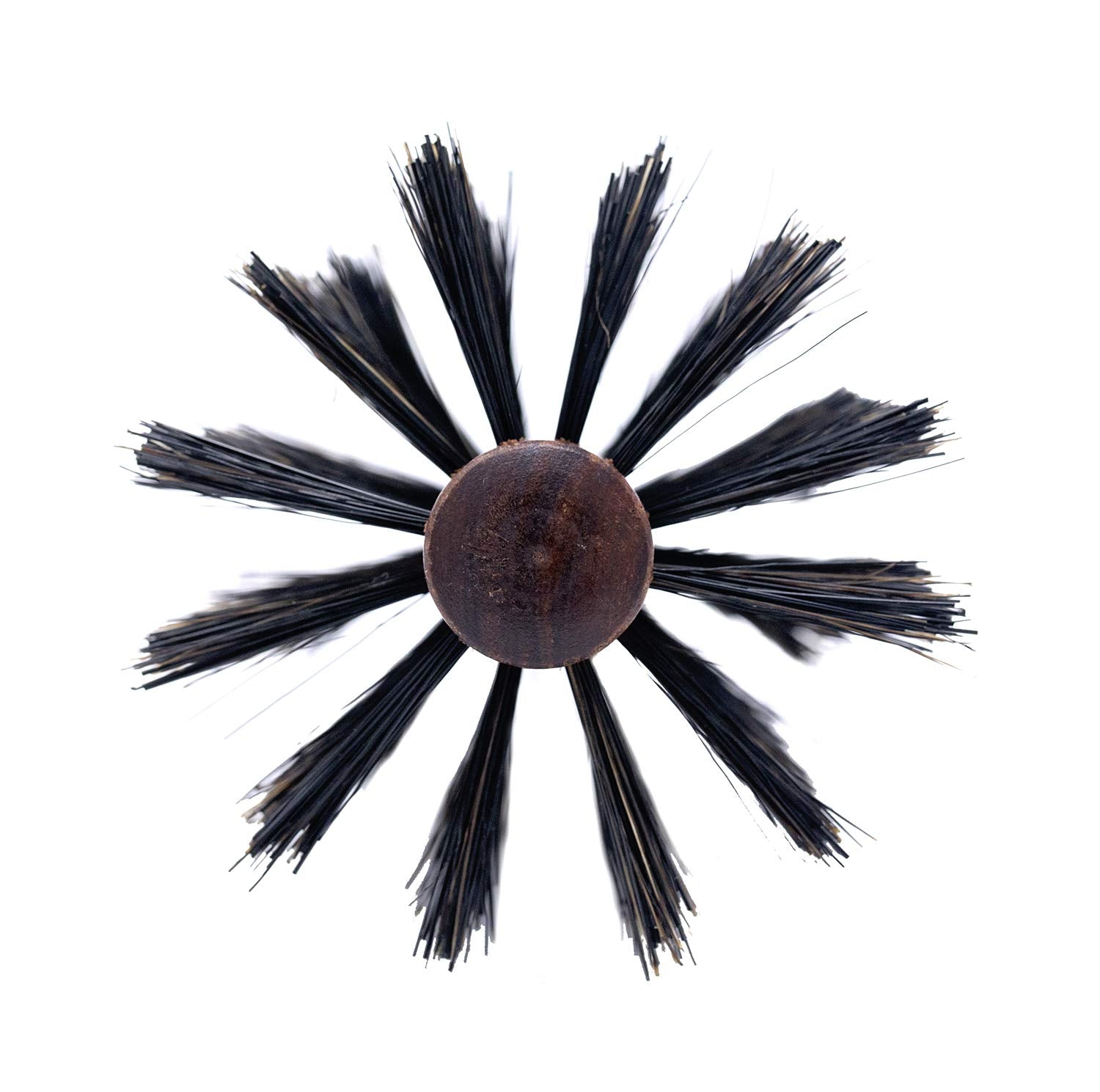 SPORNETTE Italian Boar Bristle Round Hair Brush - Large 3 Inch for Blow Drying & Styling - Brown, Model 855, Ideal for Medium to Long Hair