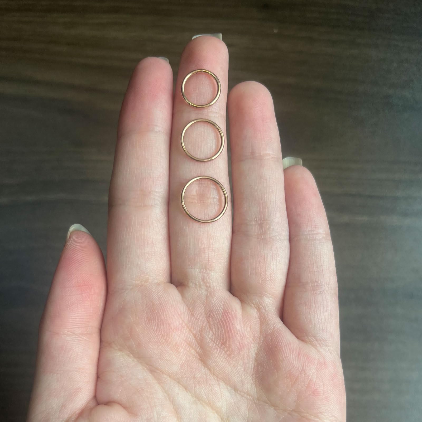 NewkeepsR 3PCS-1.0mm Rose Gold Anodised Hinged Clicker Nose Hoop Rings, 18G 316L Steel Seamless Segment Sleeper Earrings Piercin
