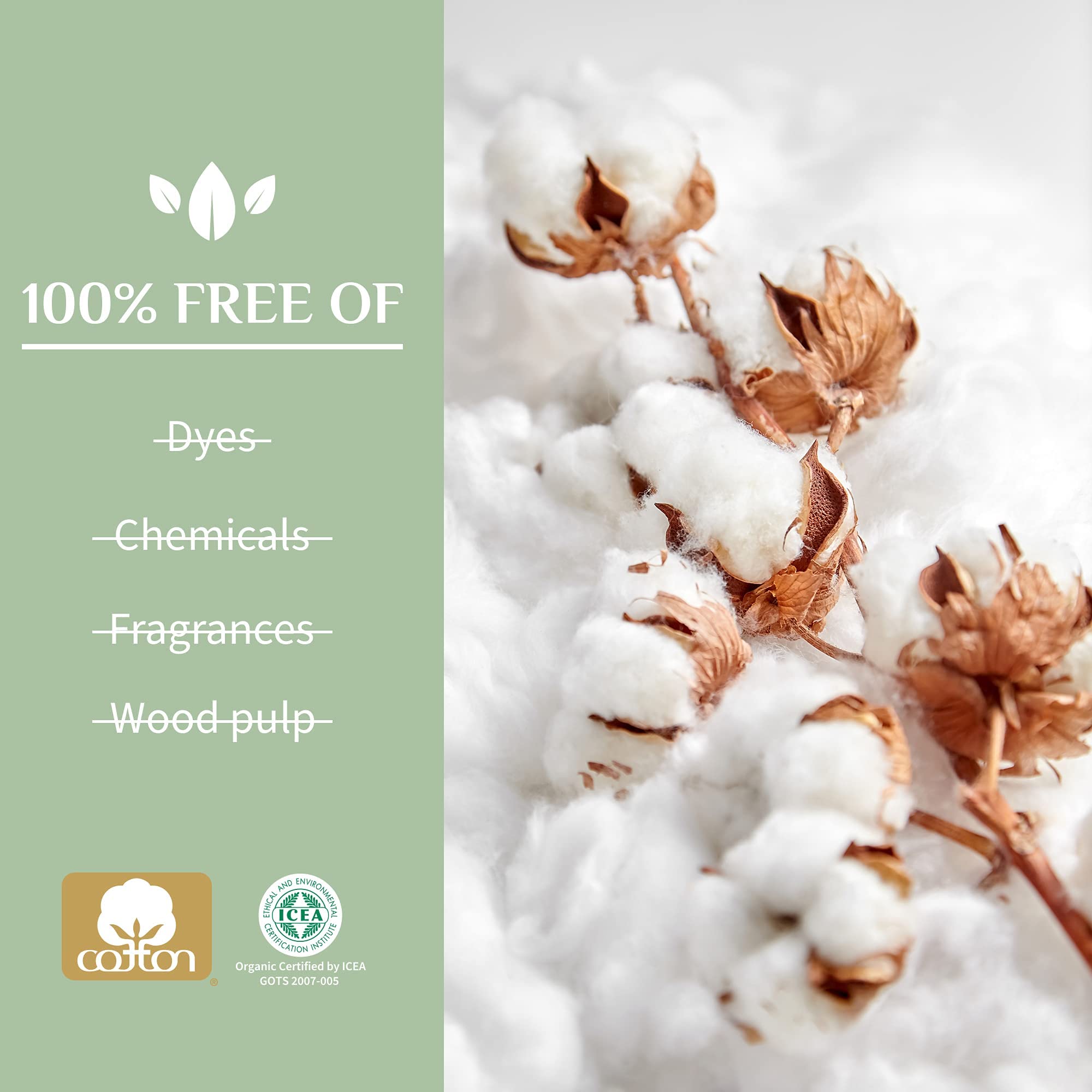 Organyc Organic Cotton Balls for Sensitive Skin, 100 Count, White, Pack of 1, Model ORGBT03