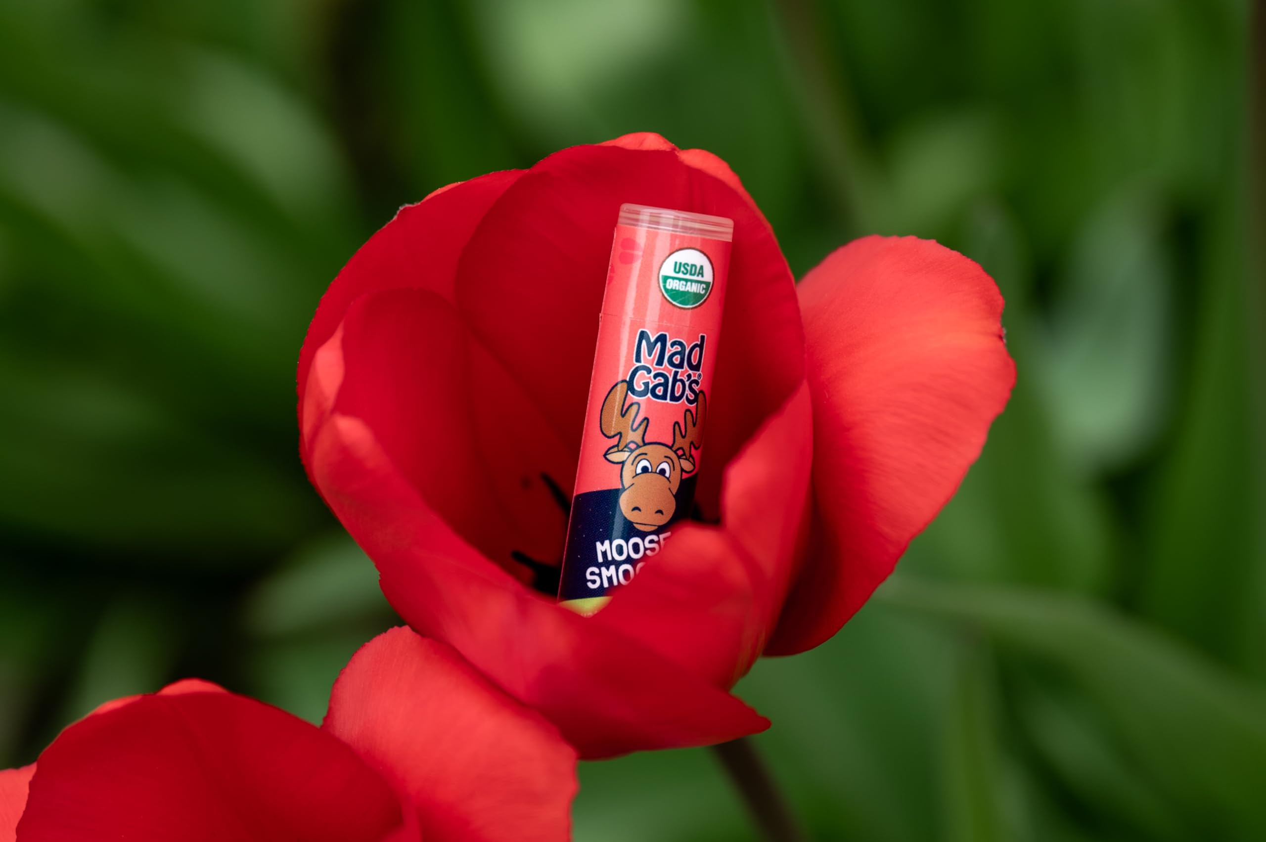 Mad Gab'S Moose Smooch Watermelon Ice Lip Balm 3Pk | Moisturizing And Certified Organic | Made With Organic Olive Oil And Beeswa