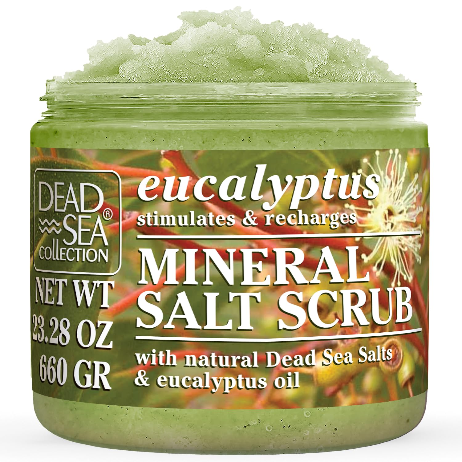 Dead Sea Collection Eucalyptus Salt Body Scrub - Large 23.28 OZ - with Pure Oils and Dead Sea Minerals