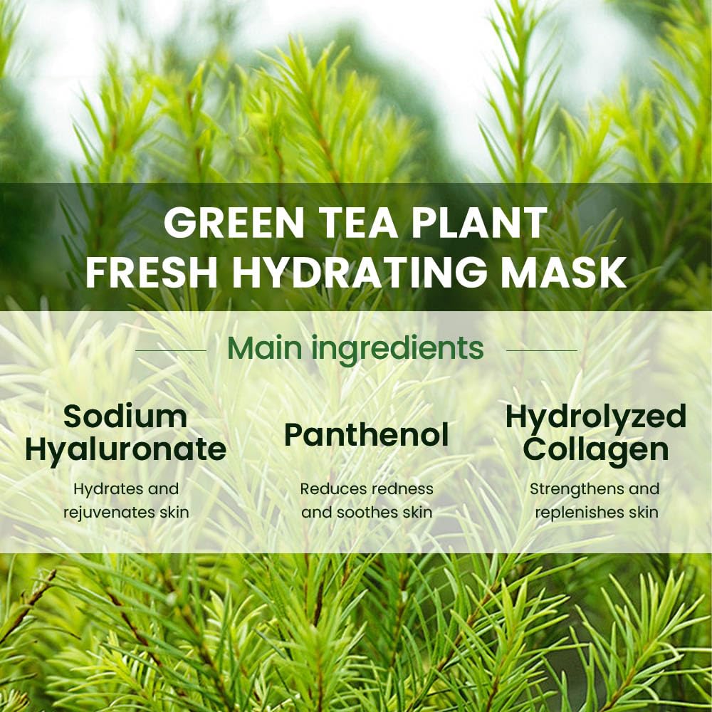 Amy'S Diary 6 Pcs Real Nature Tea Tree Hydrating Nature Face Masks Skincare, Hyaluronic Acid, Vitamin C And E, Chamomile, Korean