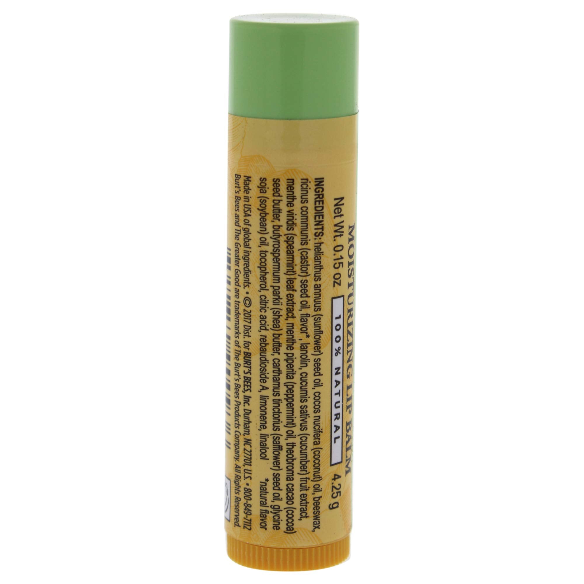 Burt'S Bees Cucumber Mint Moisturizing Lip Balm For Women, Orange, 0.15 Oz
