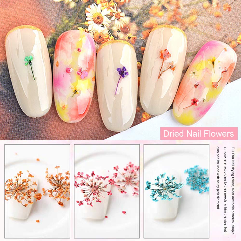 Ebanku 12 Colors 3D Dried Flowers Nail Art Decals, Colorful Dried Gypsophila Flowers Nail Art Stickers Decoration, 3D Nail Decor