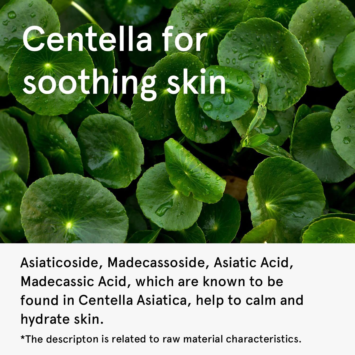 One Thing Centella Asiatica Extract Cica Toner 5.07 Fl Oz | Hydrating Soothing Facial Extracto For Sensitive Oily Acne Prone Ski