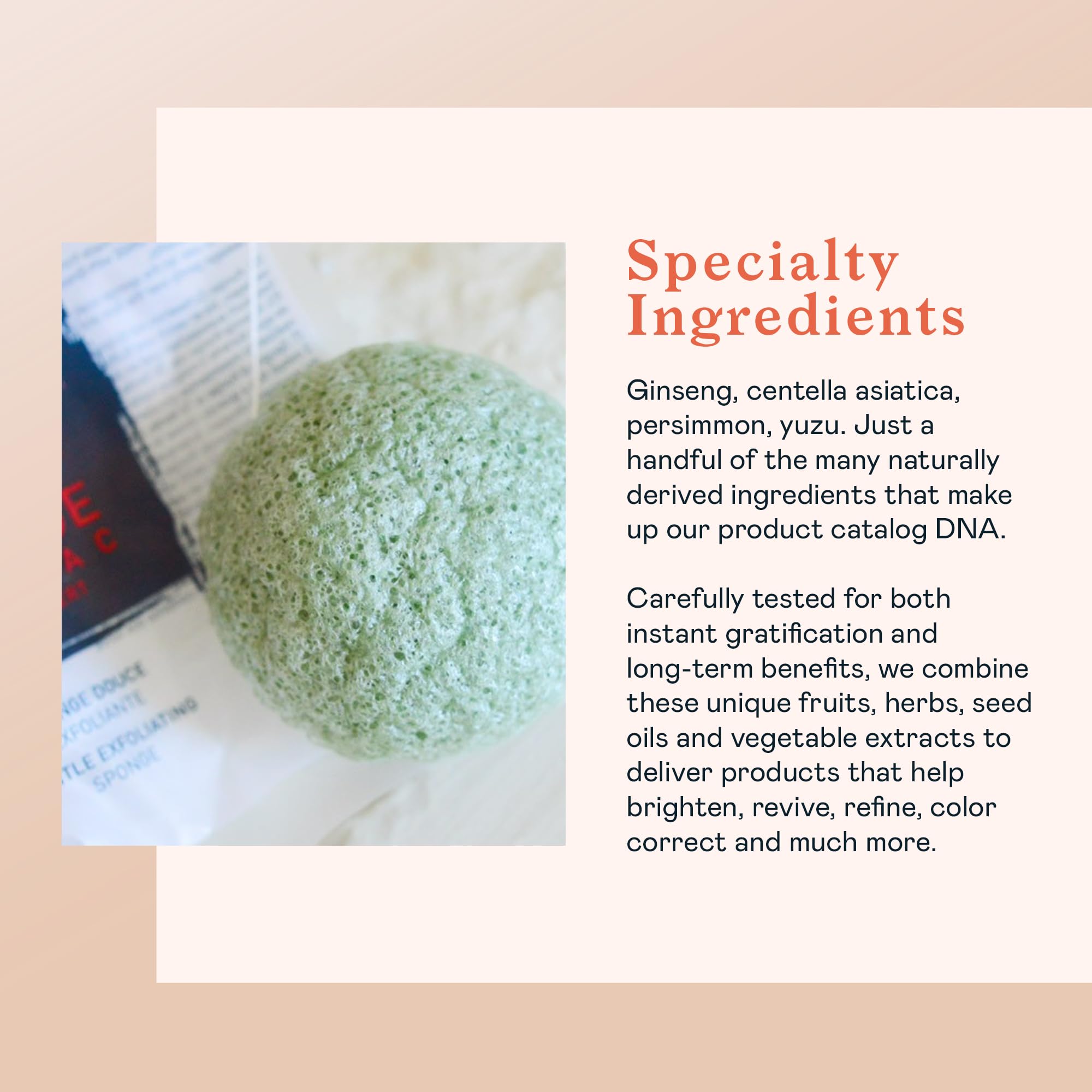 Erborian Green Tea Konjac Facial Sponge - Natural Great For Sensitive, Oily And Acne Prone Skin - Korean Beauty Bath Scrub For D