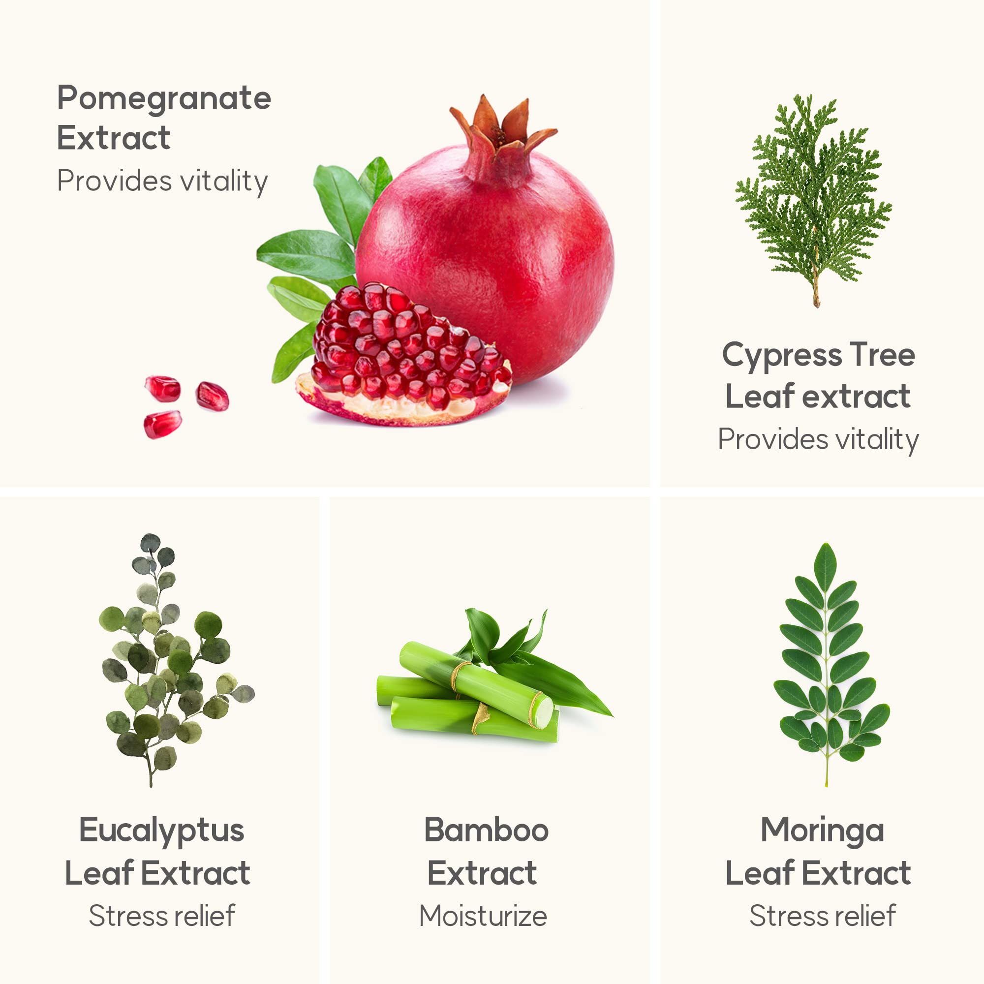 Frudia Welcos Pomegranate Nutri-Moisturizing Sticky Cleansing Foam | Korean Skin Care Face Cleanser For Firmness & Hydration | F