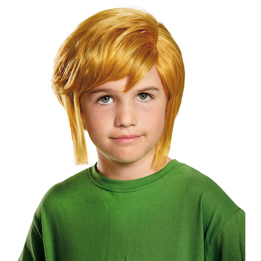 Disguise Link Child Wig Costume