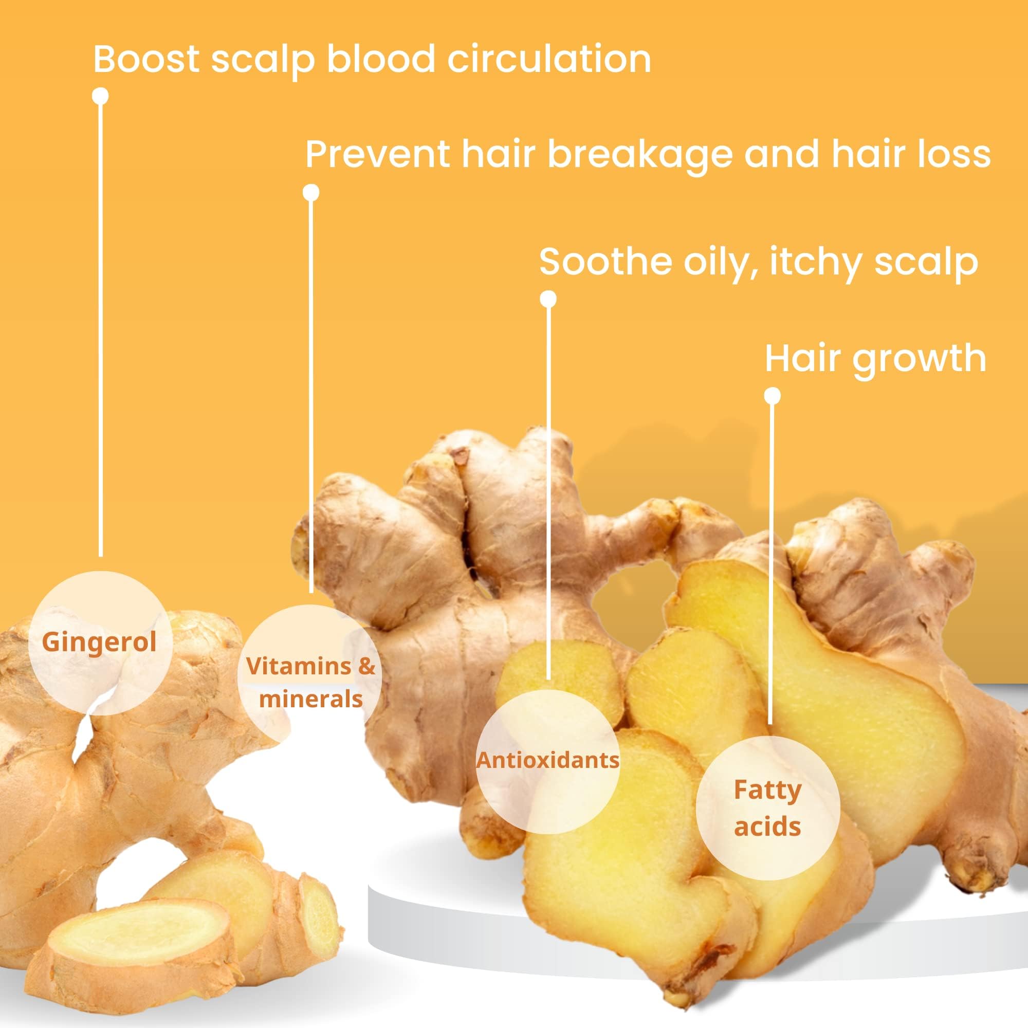 Muun Ginger Shampoo and Conditioner Bar Pack 3 - Hair Growth & Regrowth, Anti Hair Loss, Strengthen & Volumize, pH Balanced - Su