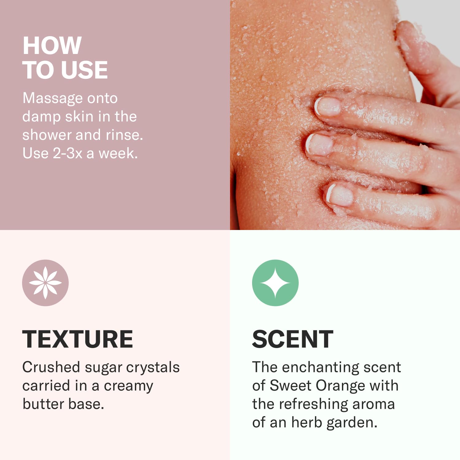 Odacit   Jojoba Pearls Daily Hydra-Exfoliant - Hydrating & Firming Formula - Vegan Skincare - Sensitive Skin Friendly - For All