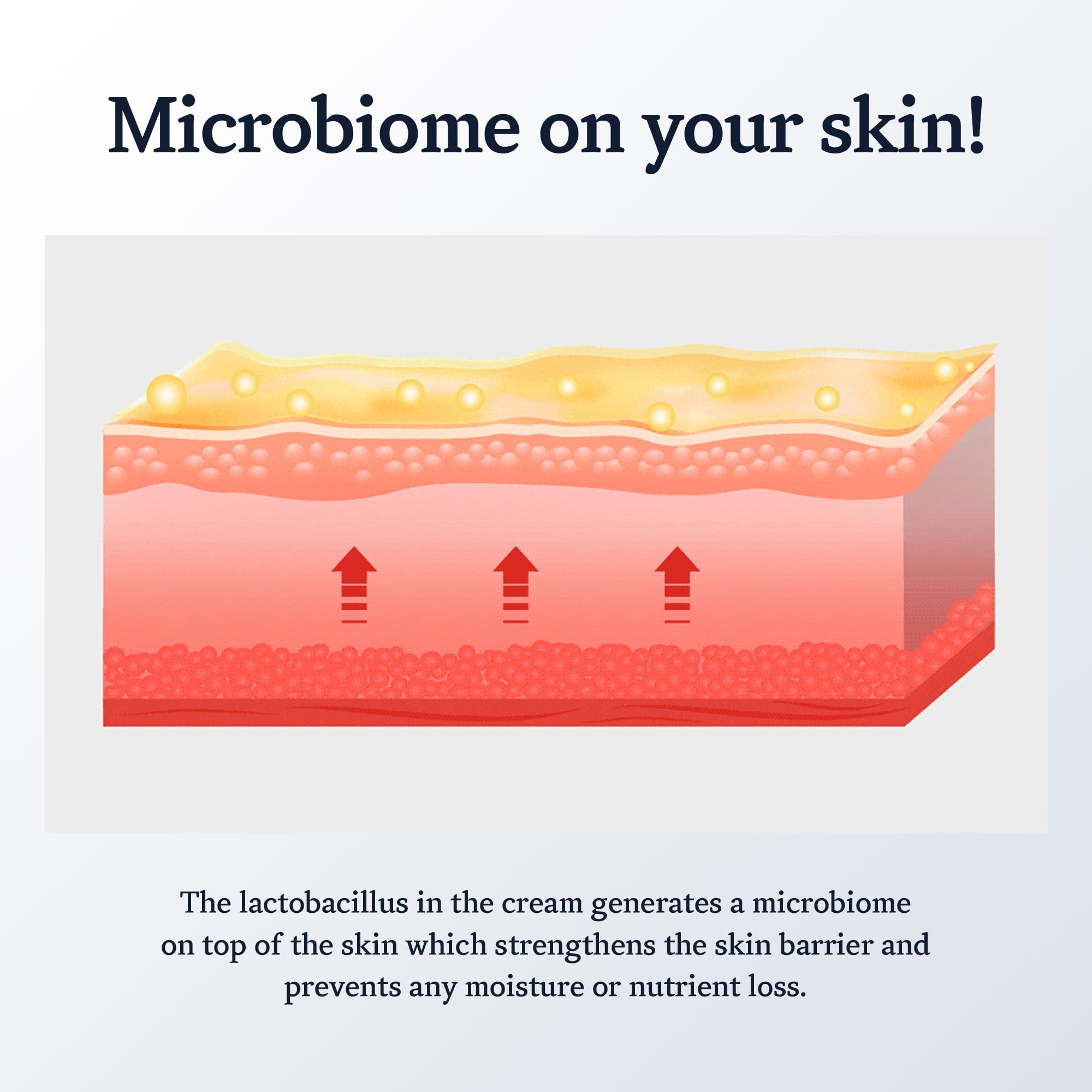 Celladix Skin Barrier Recovery 131 Cream | Skin Microbiome Protects | Strengthens Skin Barrier | Oil-Free Face Cream | Optimal 5