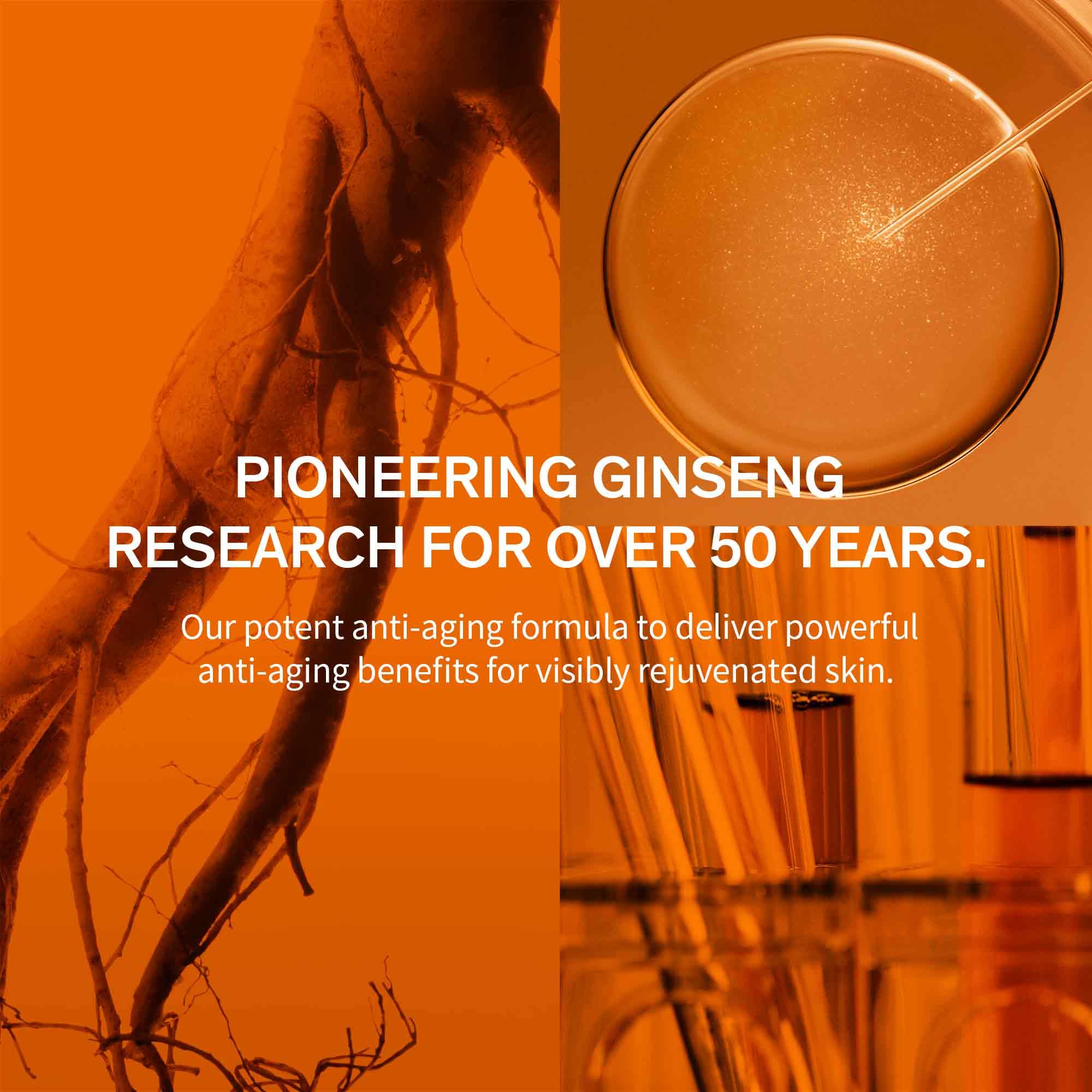 Sulwhasoo Concentrated Ginseng Renewing Cream - Korean Anti-Aging Skincare, Improves The Look Of Wrinkles And Firmness, Ginseng,