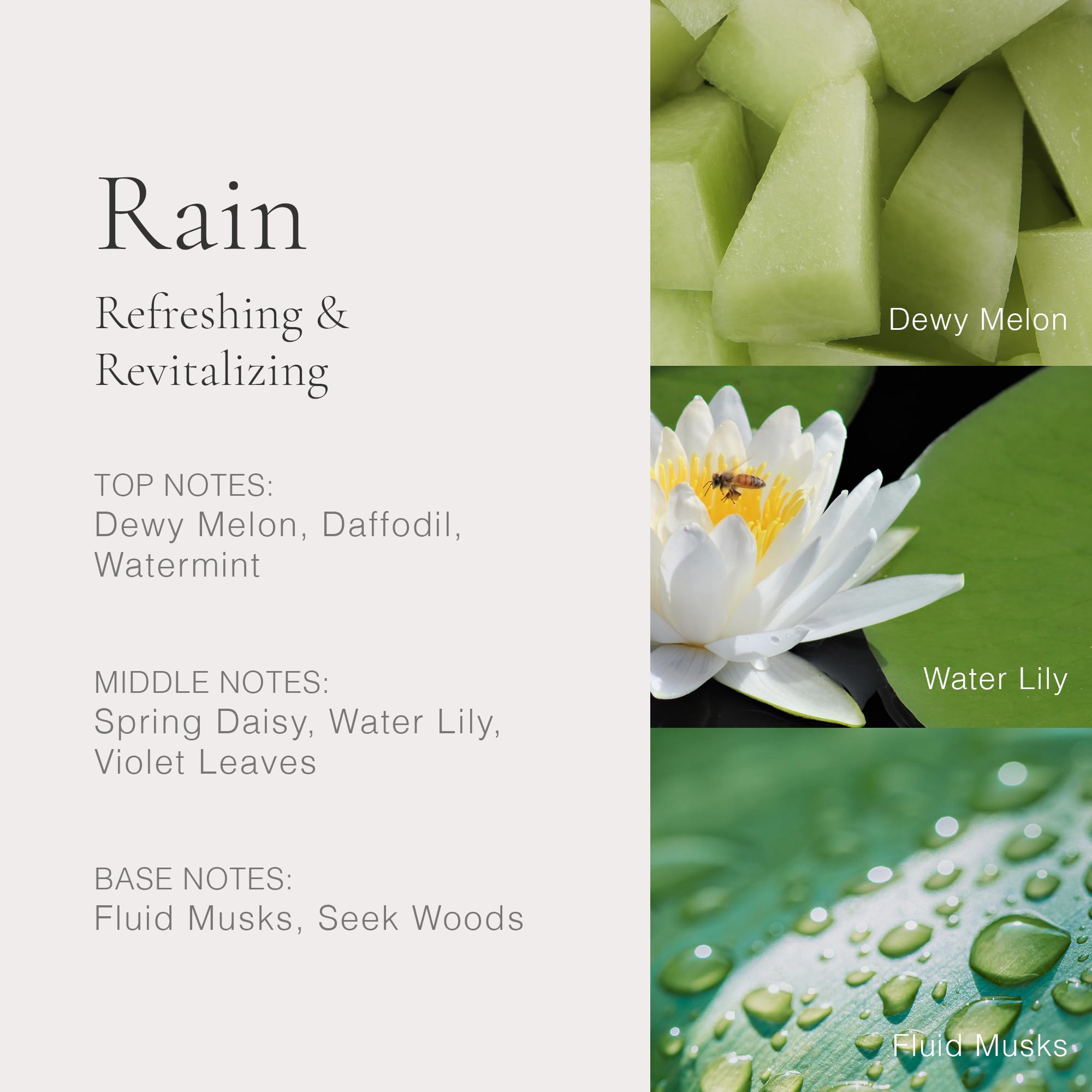 Clean Classic Rain 60Ml