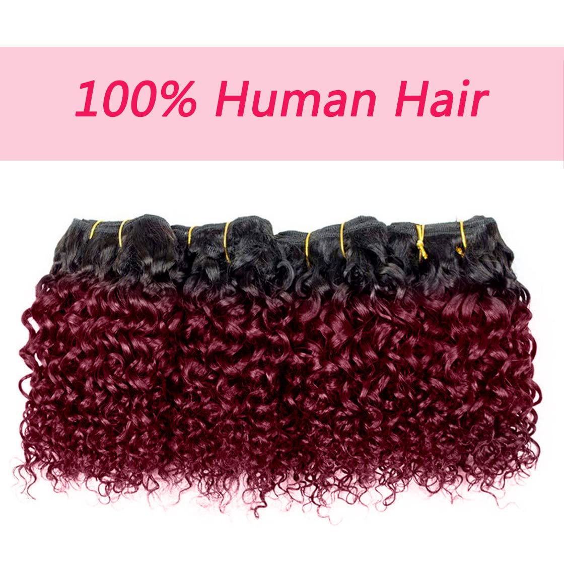 Curly Human Hair Bundles Kinky Curly Bundles Human Hair Bundles Curly Human Hair 4 Bundles 1B/99J Brazilian Virgin Human Hair 50