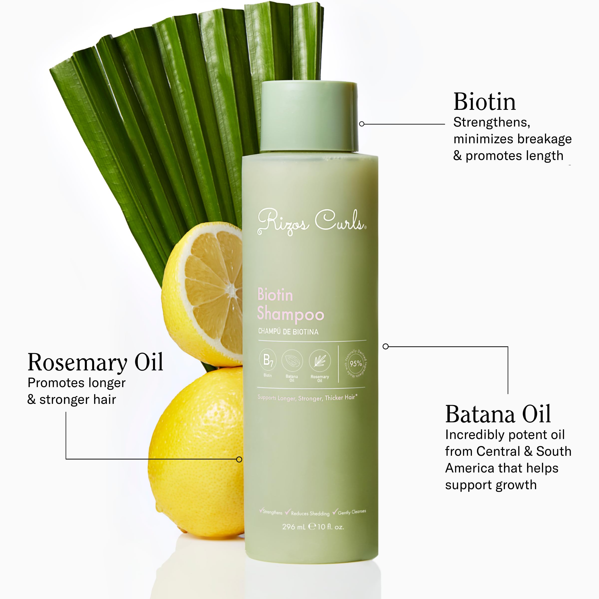 Rizos Curls Biotin Shampoo, Gently Cleanse & Nourish, Rosemary Oil & Oat Protein for Longer and Stronger Hair, Hair is Fuller, S