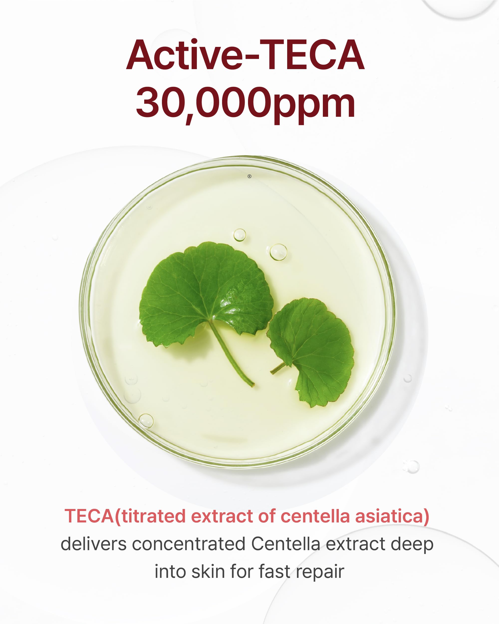 CENTELLIAN 24 Madeca Cream - Fast-Absorbing Hydrating Moisturizer, 1.69 Fl Oz, Reduces Wrinkles, Nourishing Korean Skin Care