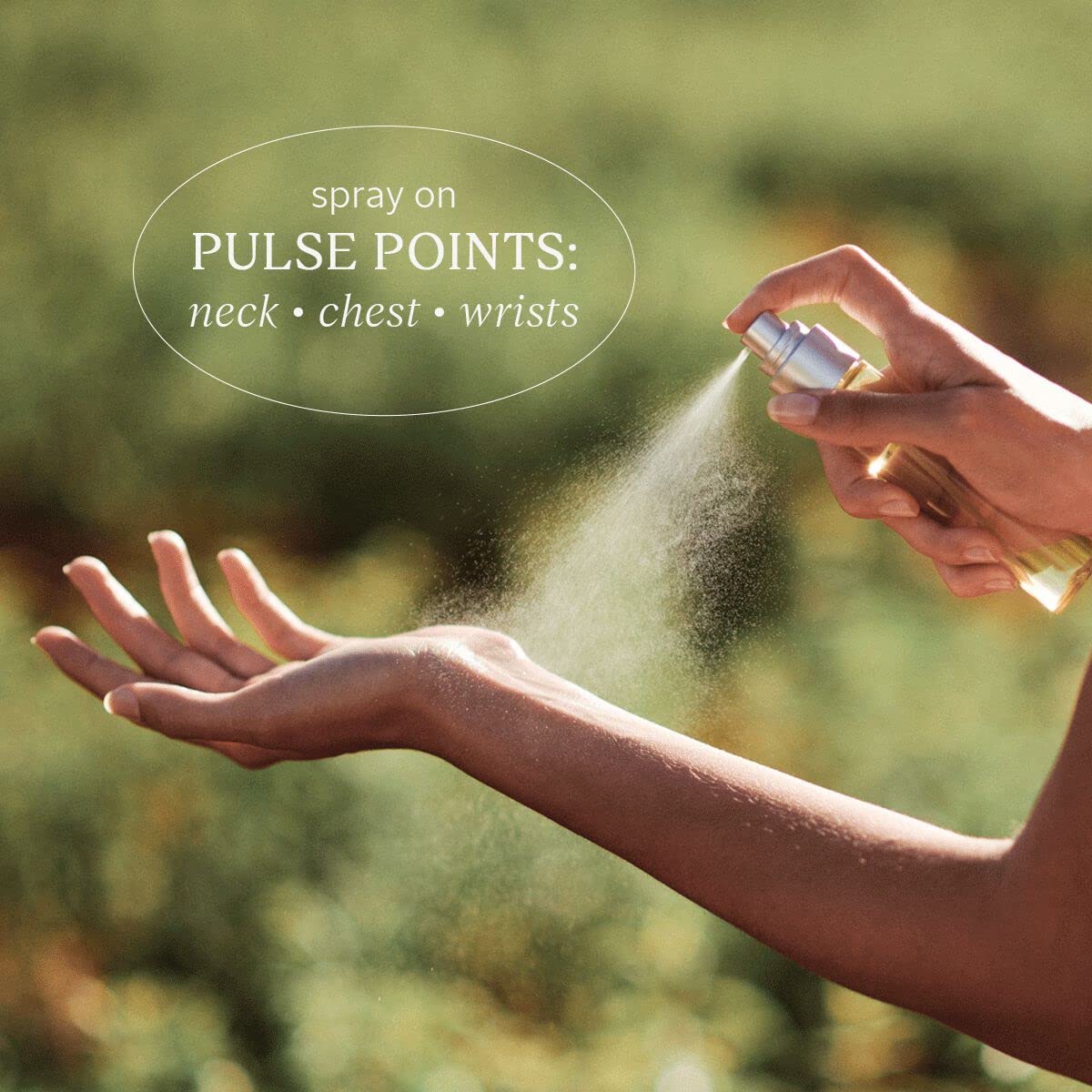 L'Occitane Verbena Eau De Toilette: Invigorating And Refreshing Fragrance With Hints Of Lemon, Iconic Verbena Leaf Extract From