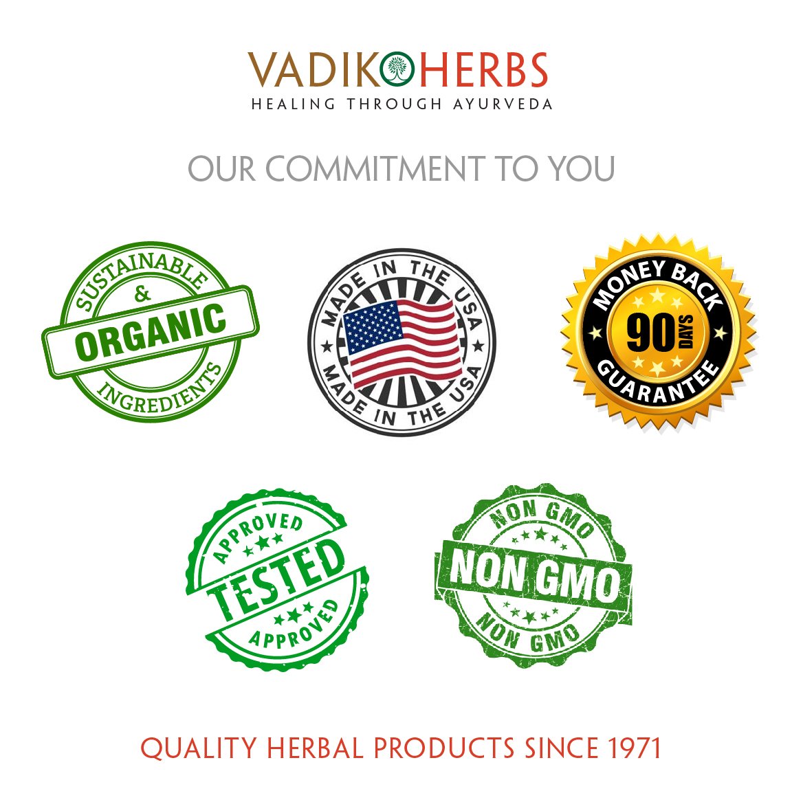 Vadik Herbs Brahmi Hair Oil (8 oz) All natural herbal hair oil for hair growth, hair conditioning, dandruff and dry scalp with R