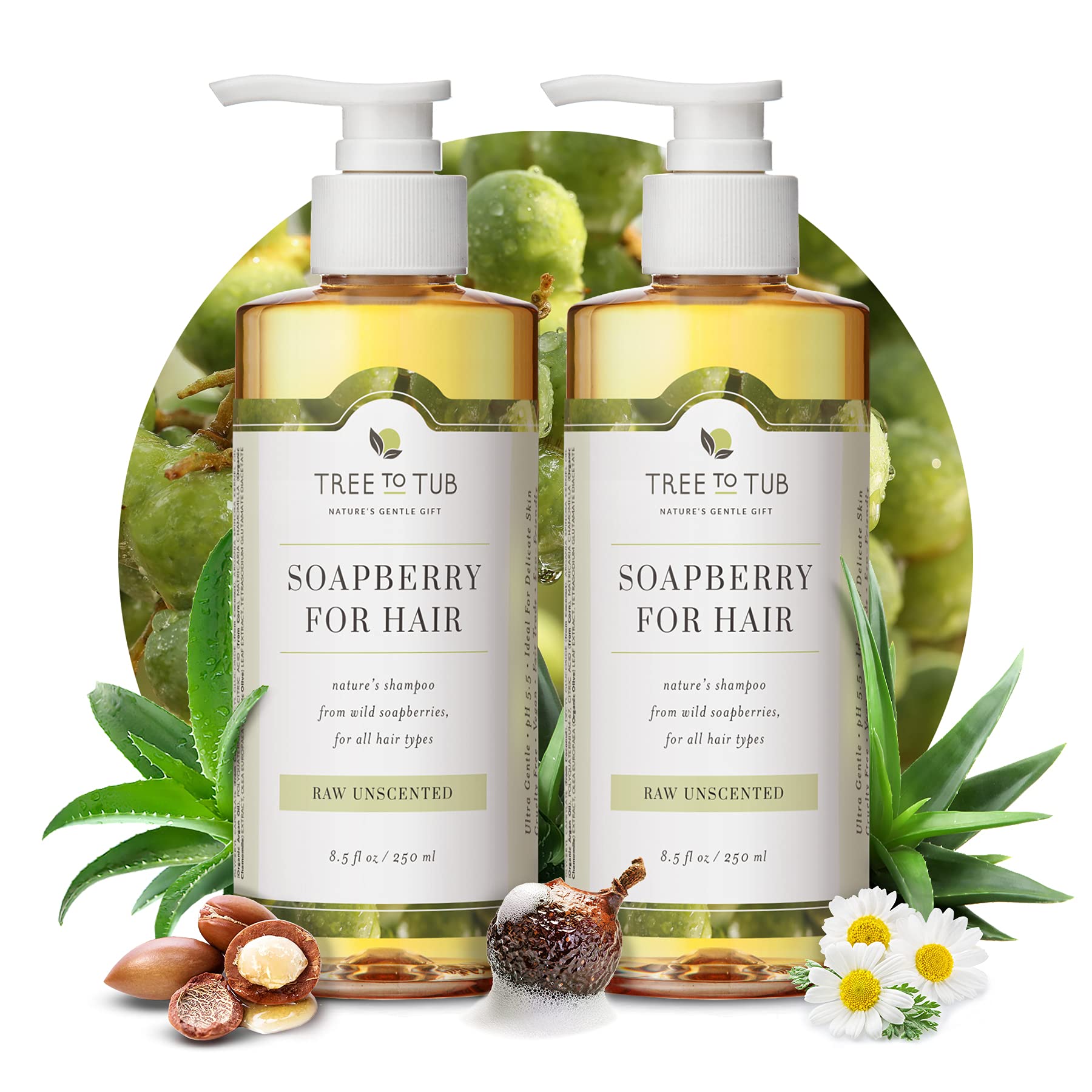 Tree to Tub Fragrance Free Shampoo for Dry & Sensitive Scalp - Gentle Unscented Hydrating Hair Shampoo for Women & Men, Moisturi