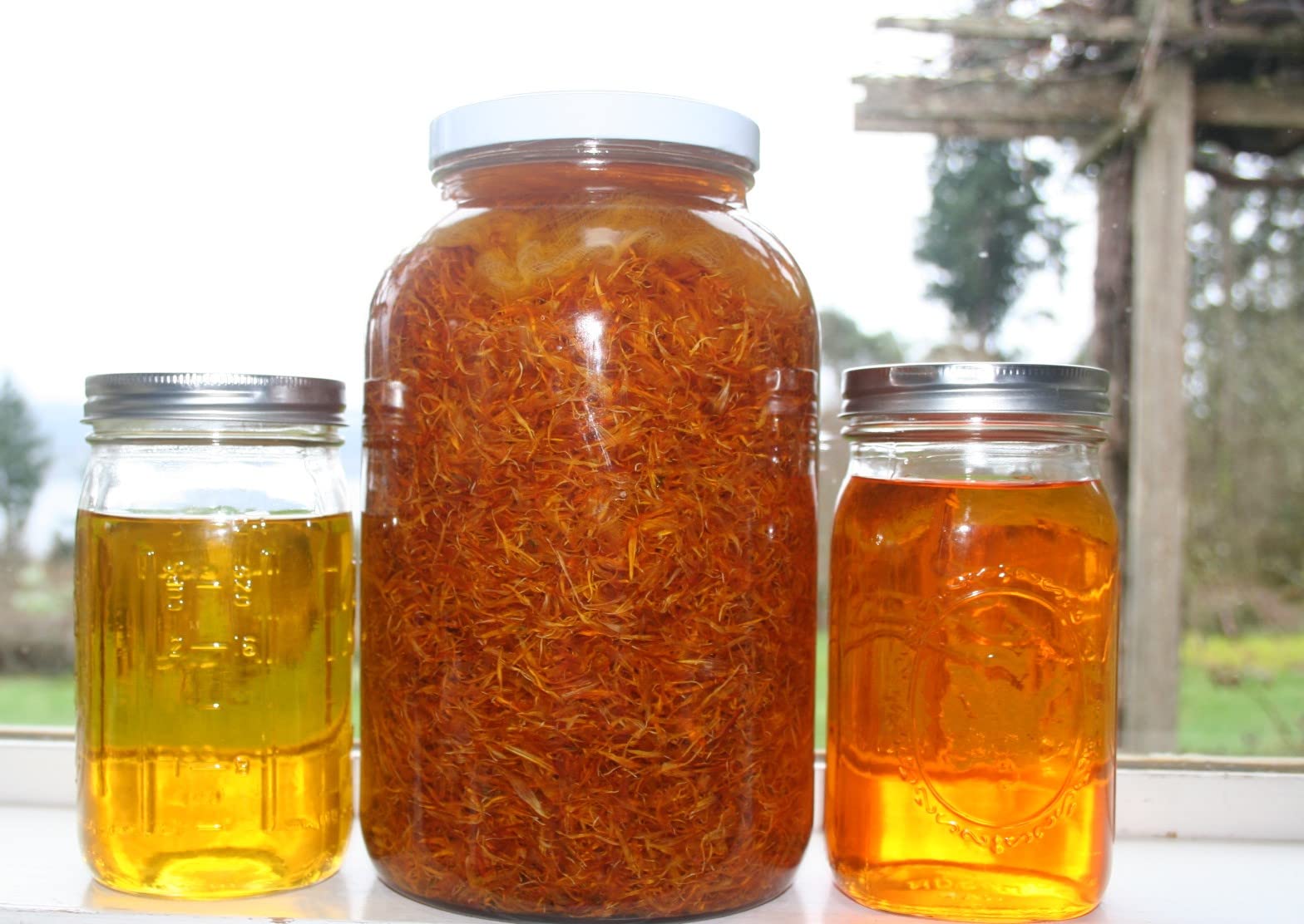 Berry Beautiful Red Raspberry Seed Oil - 1 Gallon - Cold-Pressed From Raspberries Grown By Northwest Berry Co-Op Farmers