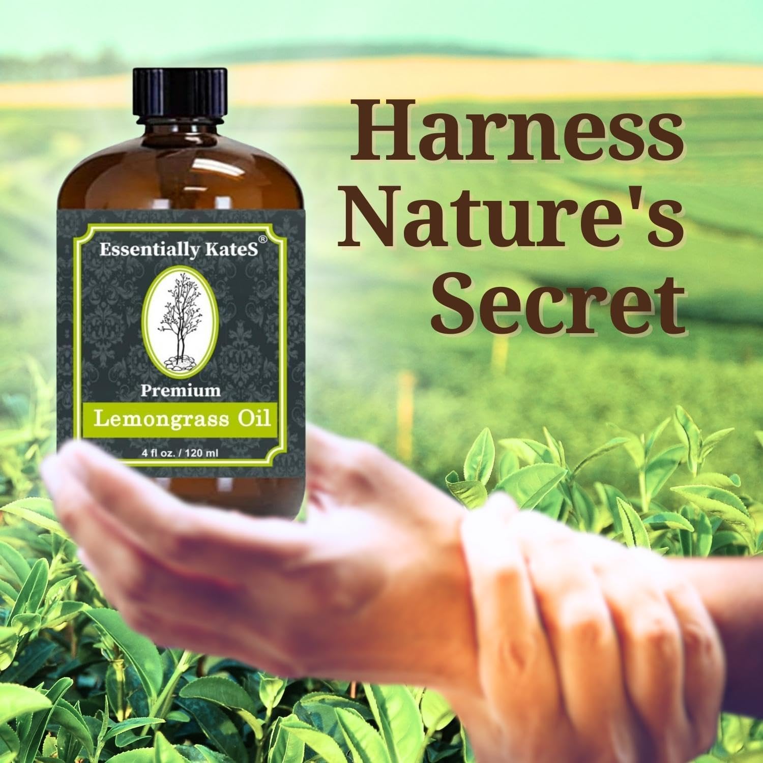 Essentially KateS Essential Oils (4 Fl Oz, Lemongrass Oil)