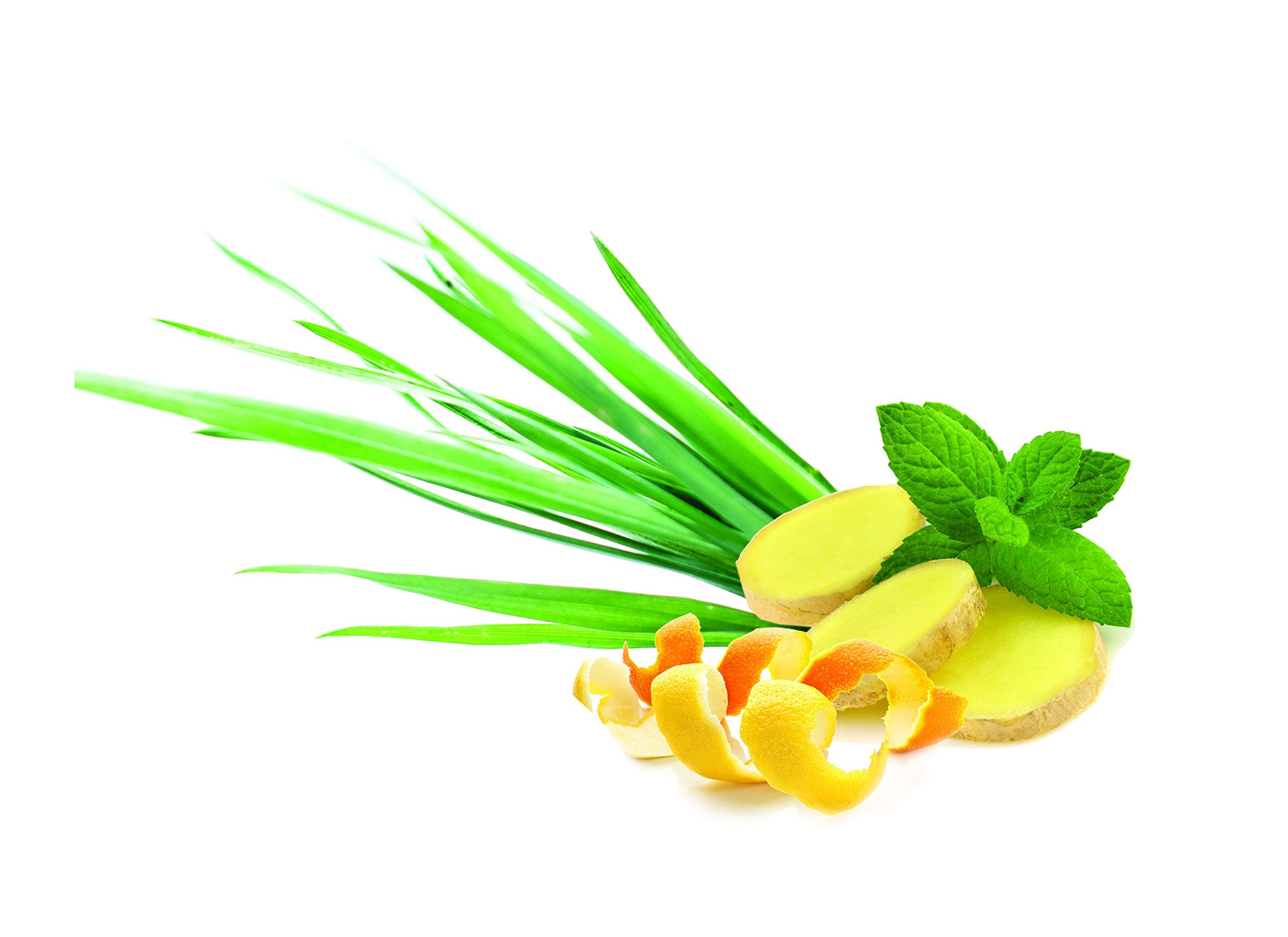 Qtica Smart Spa Sugar Scrub (Lemongrass Ginger, 44oz)