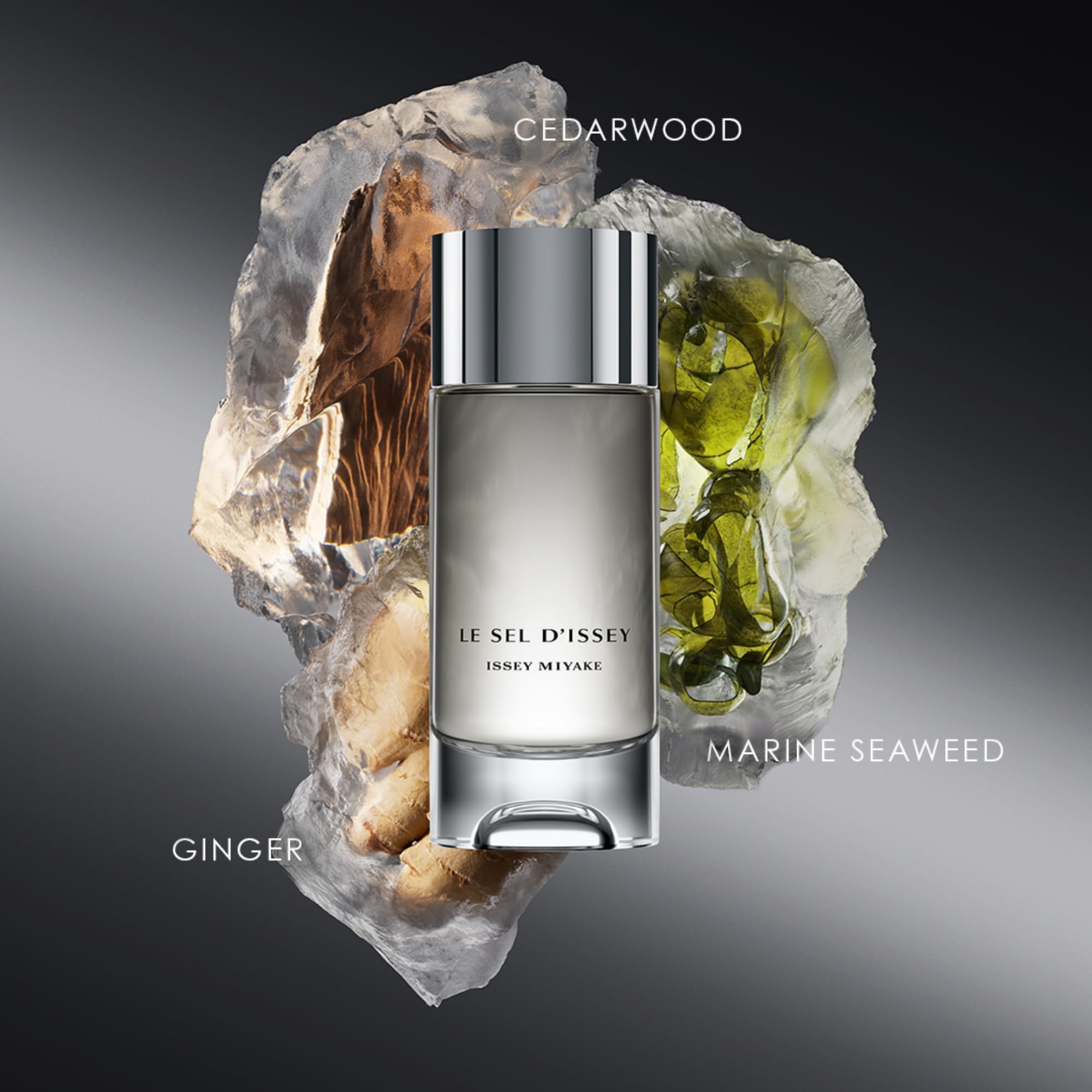 Issey Miyake Le Sel d'Issey Eau de Toilette - Fresh Woody Marine Fragrance for Men - With Salt Accord, Marine Seaweed, Ginger &