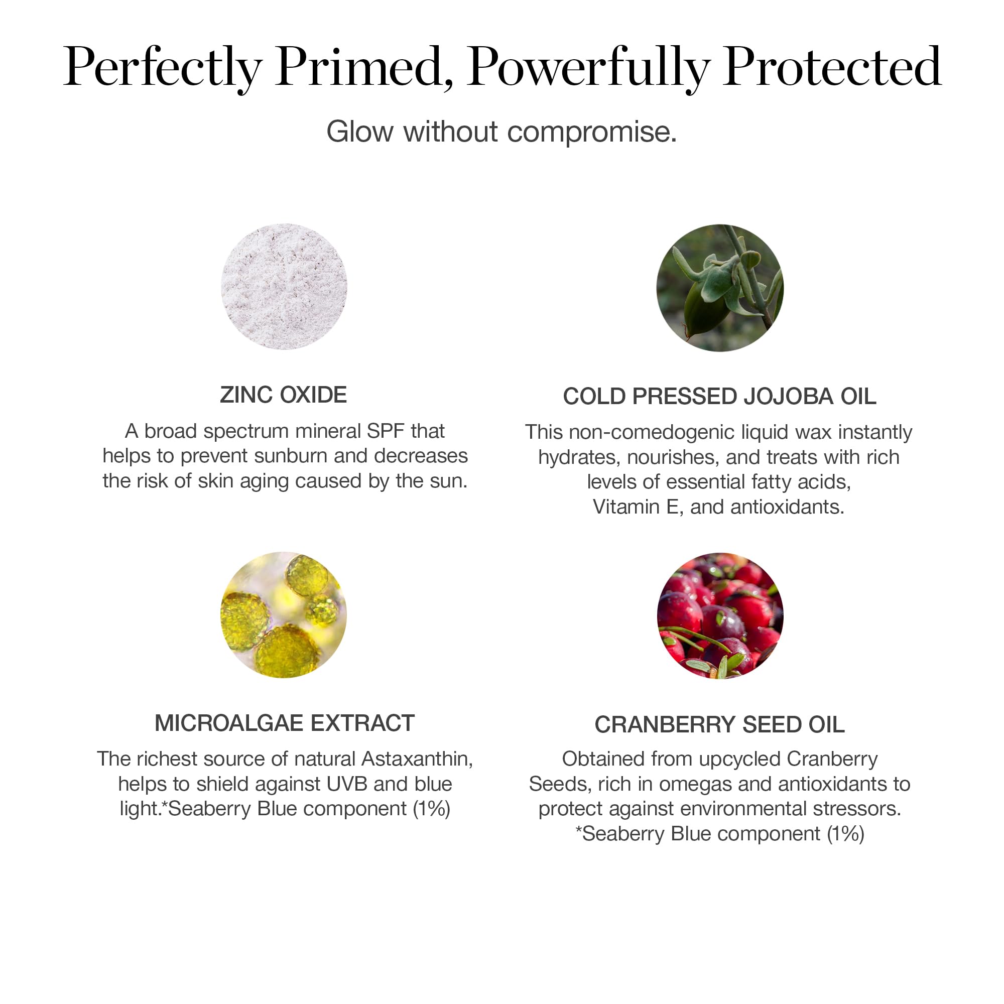 PROTECT Skin Enhancing Primer - Broad Spectrum Mineral Sunscreen SPF 4 ...