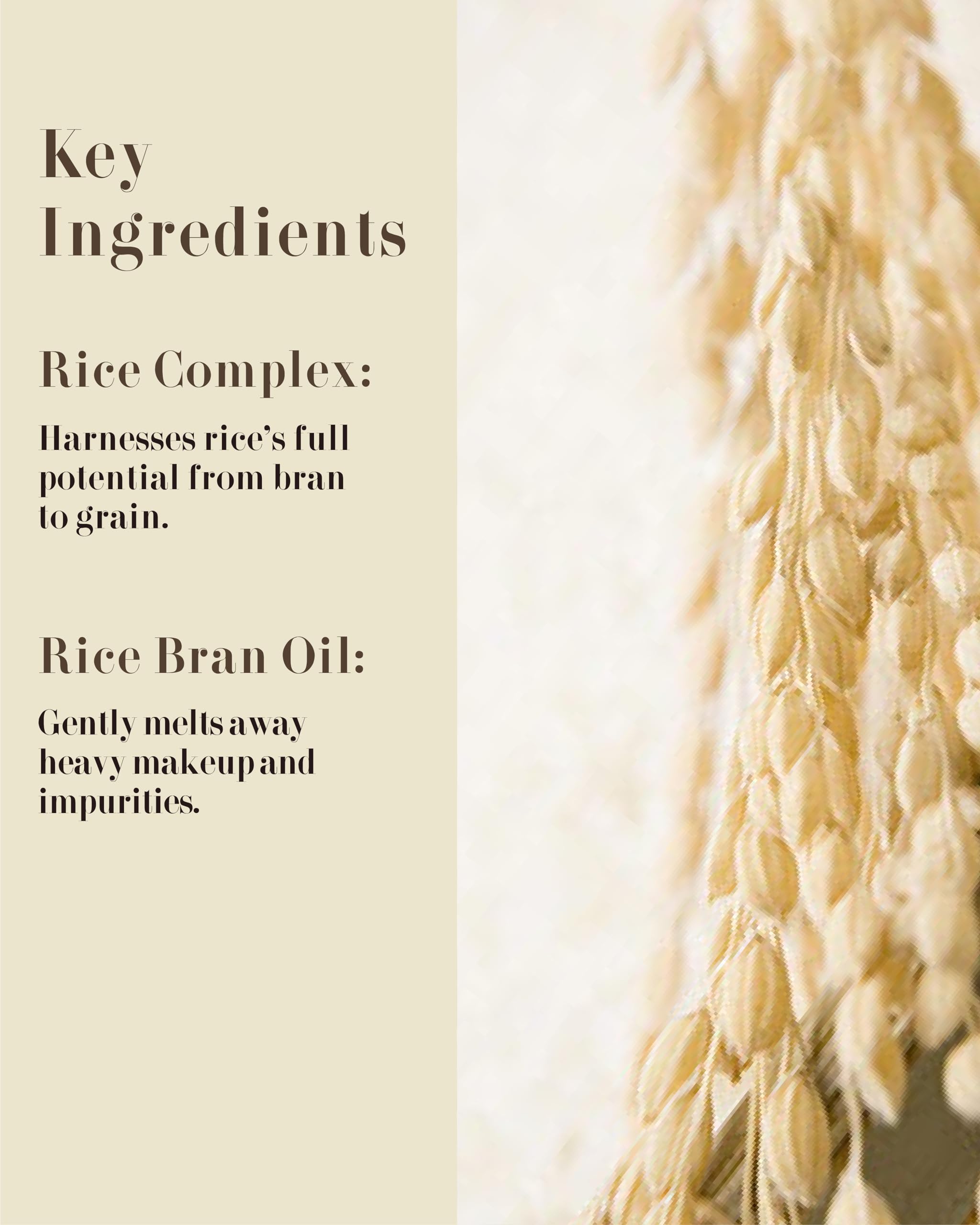 Veilment Rice Therapy Cleansing Oil (6.8Fl Oz) - Waterproof Makeup Remover, Deep Cleanser For Oily Skin. Gentle Formula, Residue