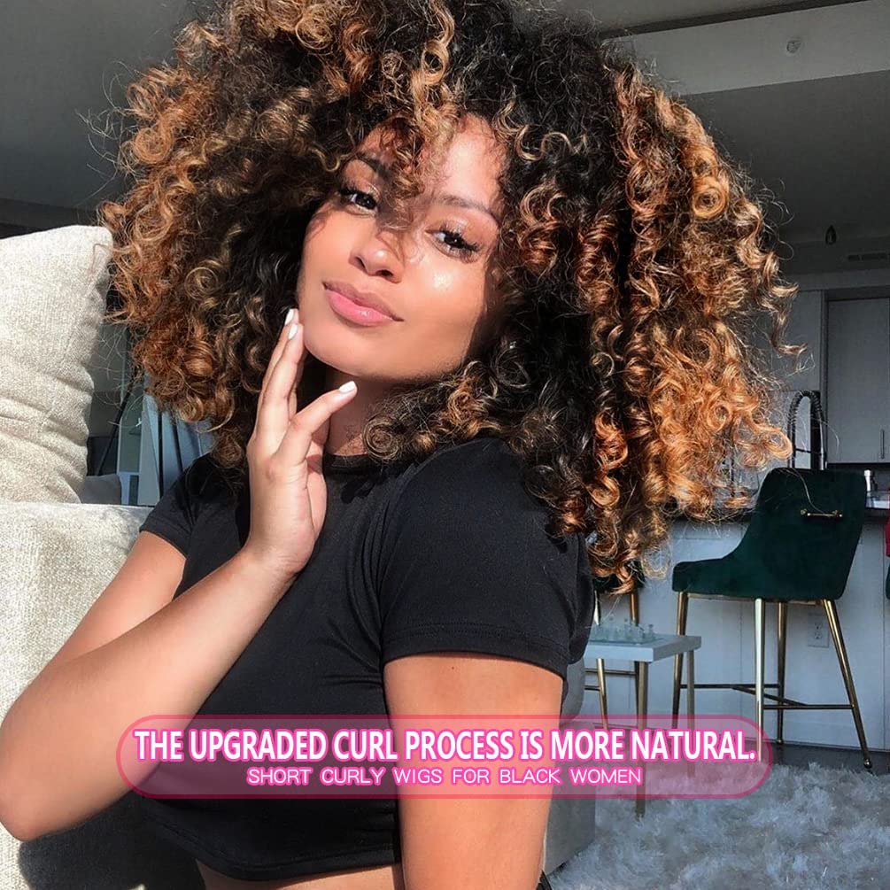 Curly Wigs For Black Women - Brown Mixed Black Synthetic Hair African American Full Kinky Curly Afro Wig With Bangs