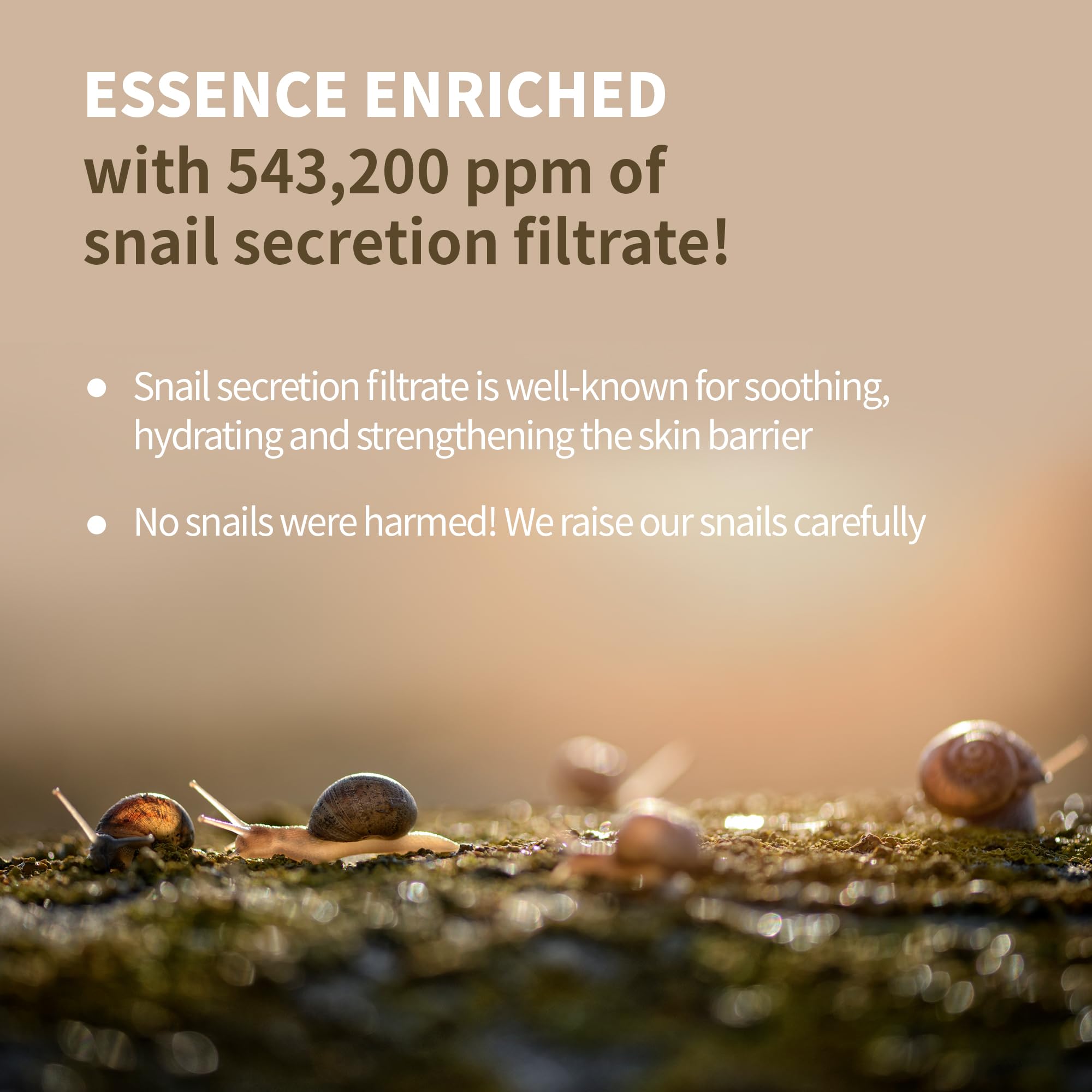 Benton Snail Bee High Content Lotion 120Ml (4.05 Fl Oz.) - Snail Mucin Moisturizer With Bee Venom | Hydrating Korean Skin Care F
